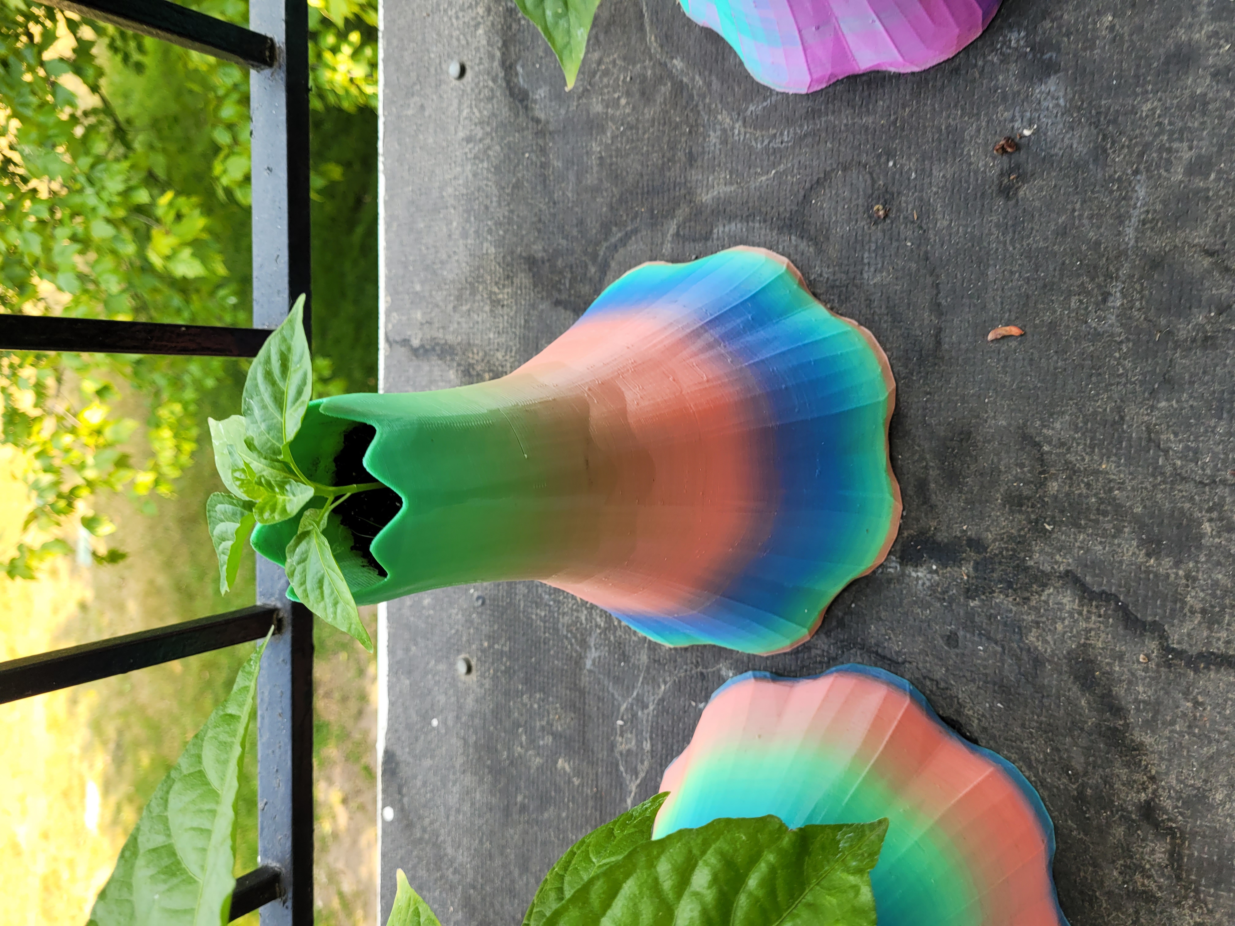 Volcano Pot for growing Hot Peppers
