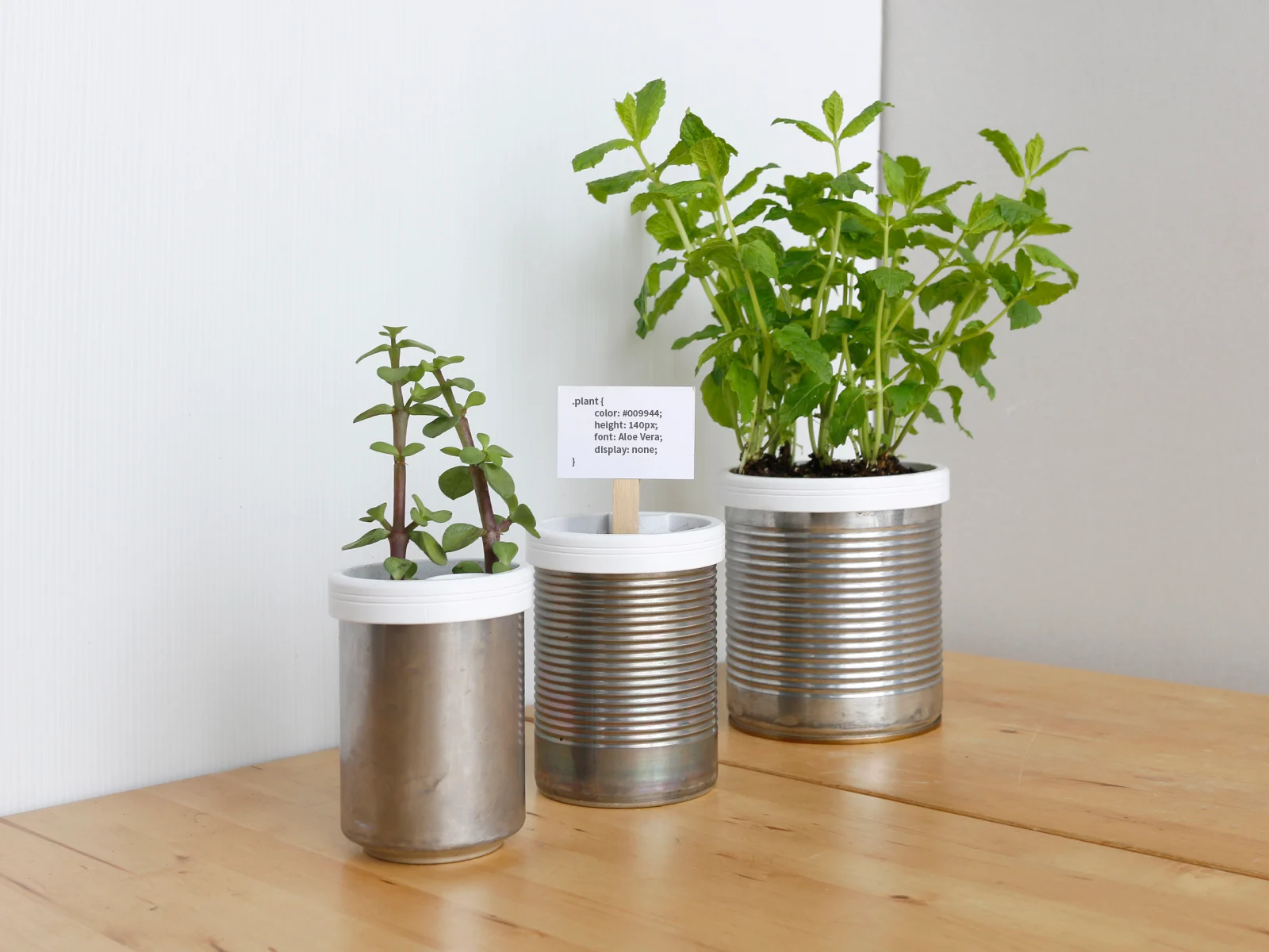 Campbell Planter - Fully 3D Printed Self-Watering Planter