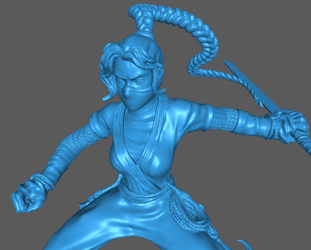 Ninja Hero (female)