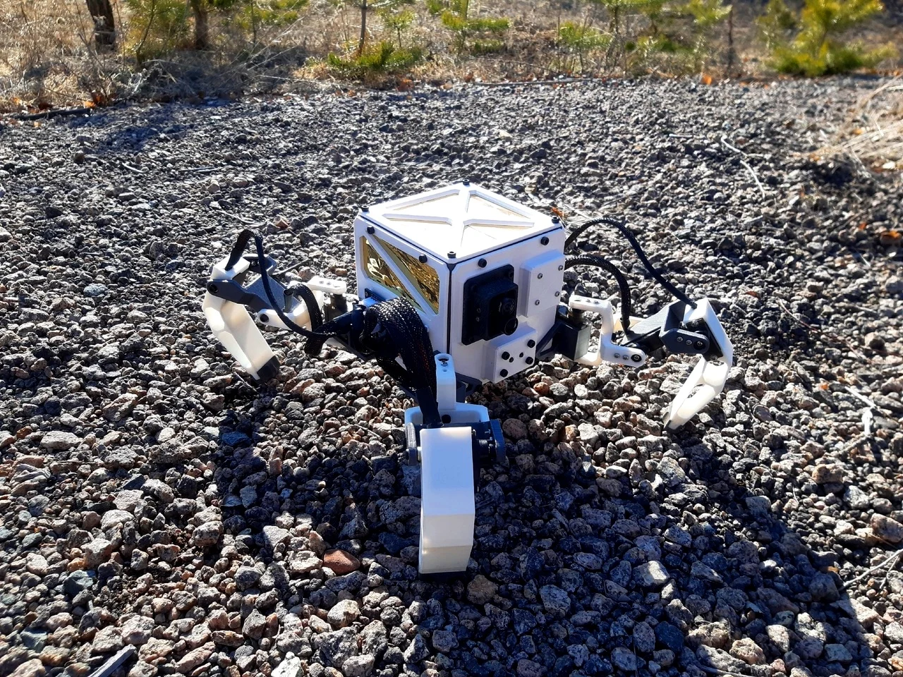 Walking 1U cubesat