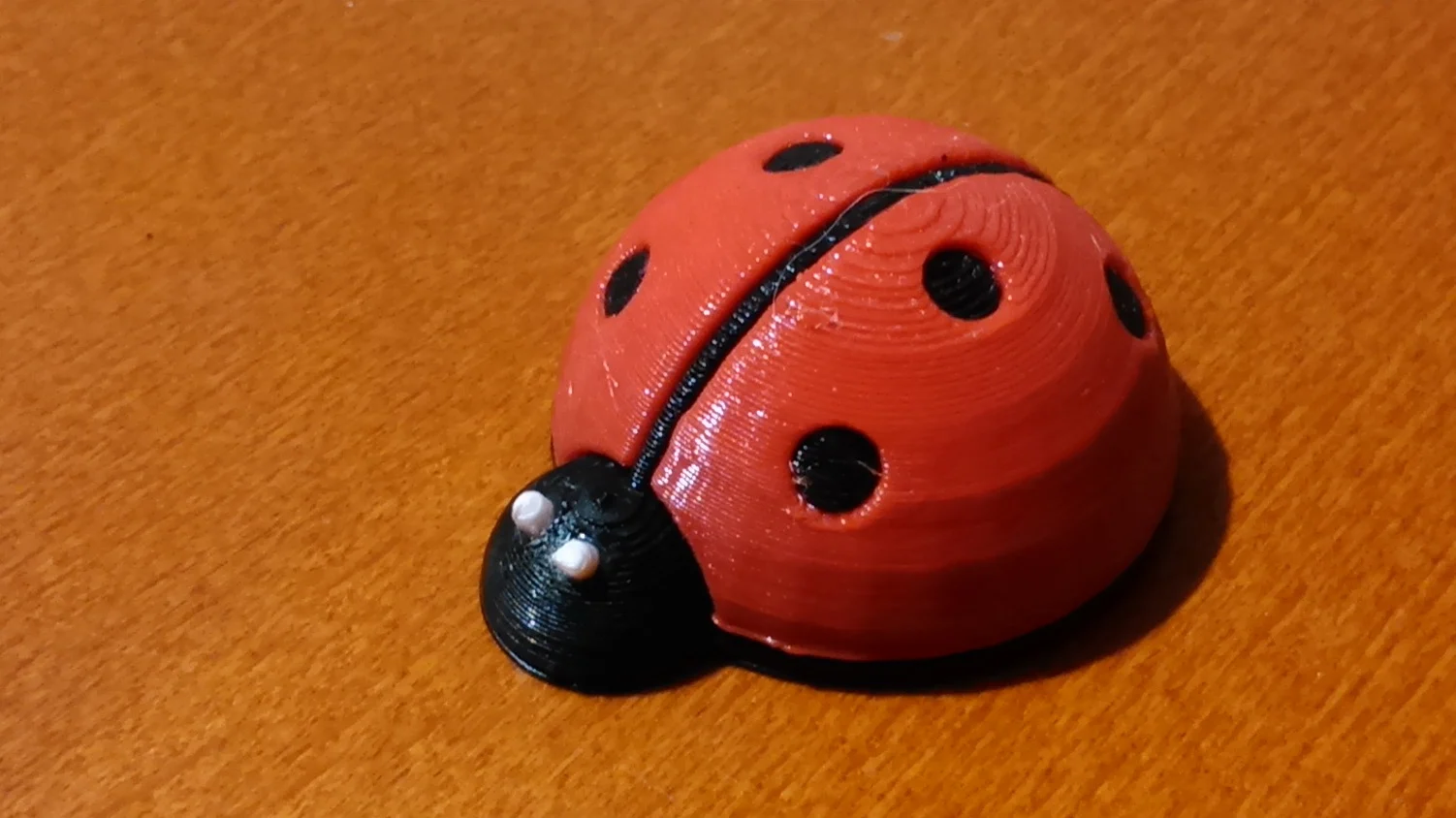 Small Cute Ladybug