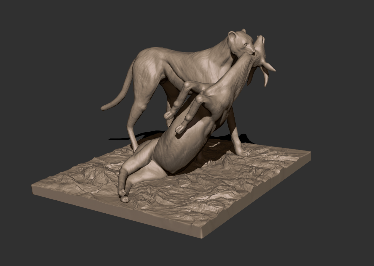 Cheetah and Gazelle scene