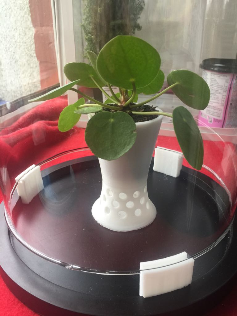 Under the Dome - Planter (Small)