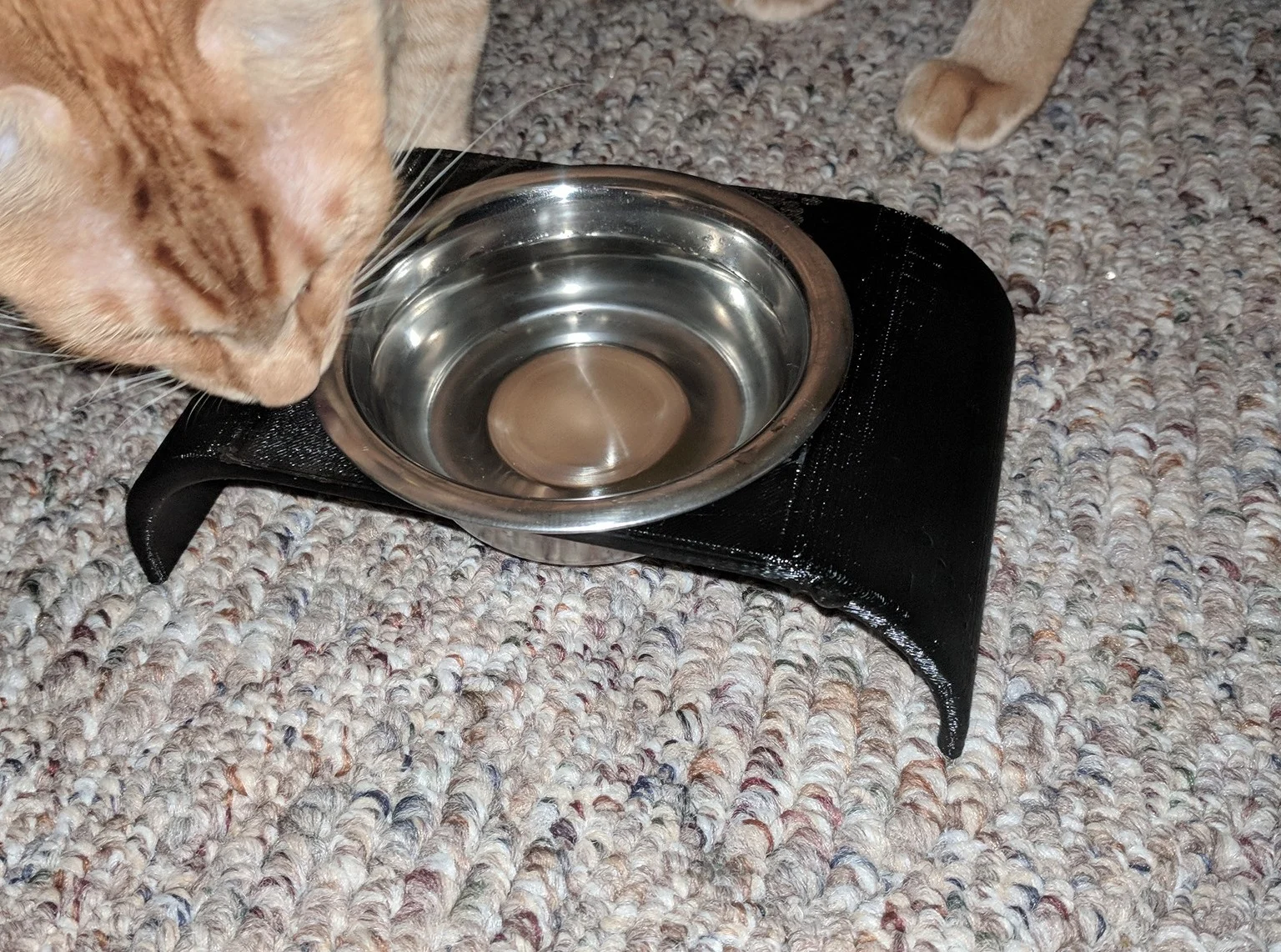 Simple Cat/Dog Bowl Holder