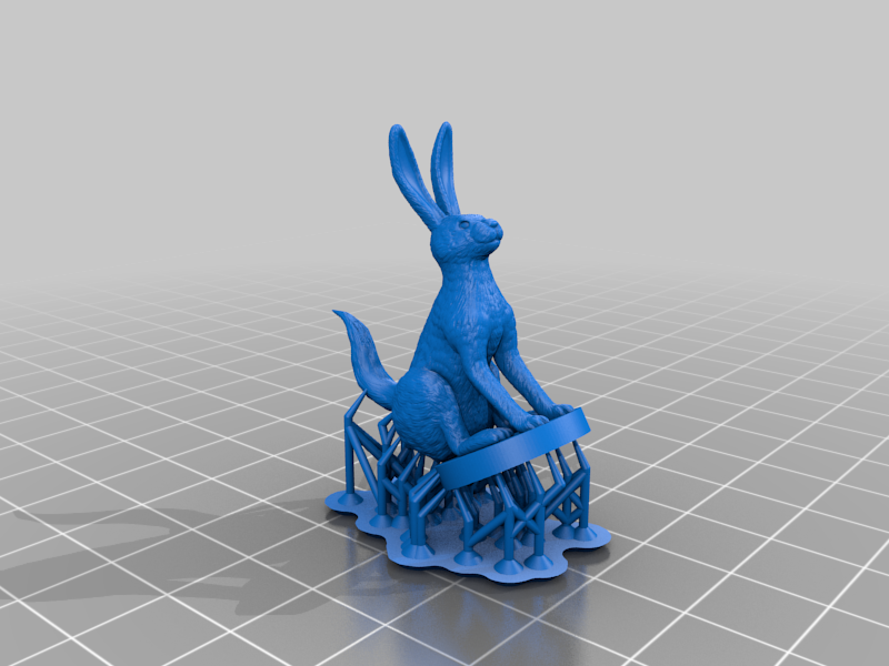 Jackalope & Regular Jack Rabbits