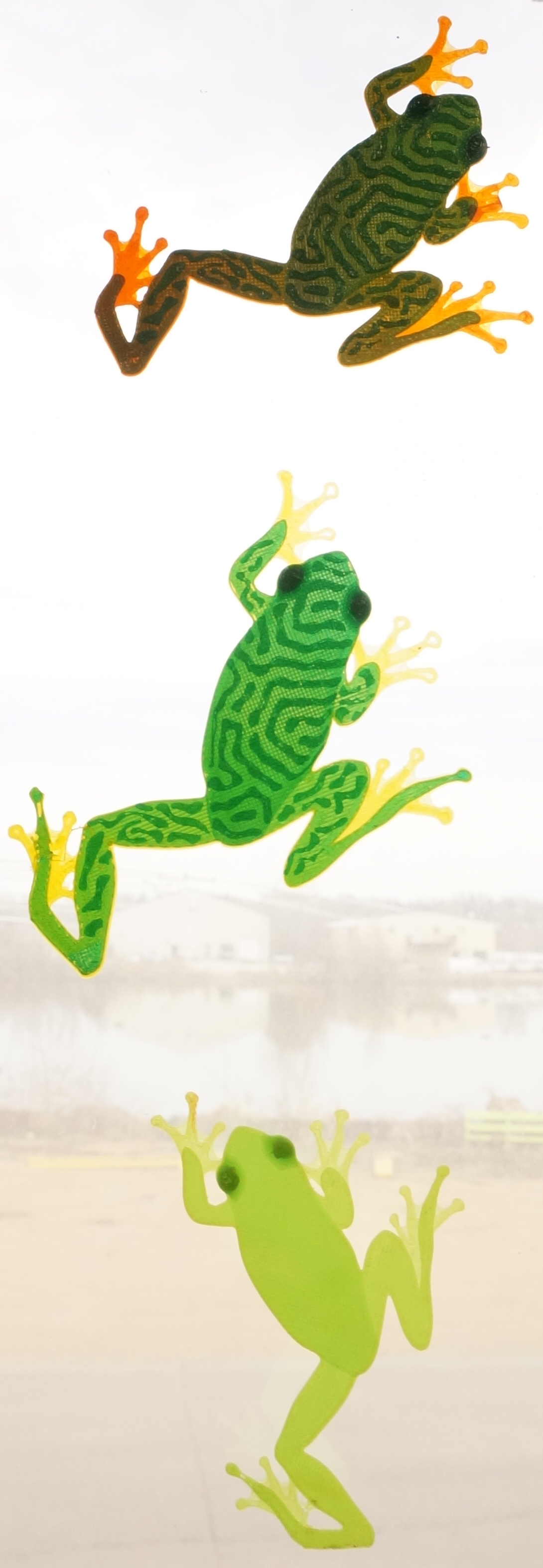 Treefrog Window Climber
