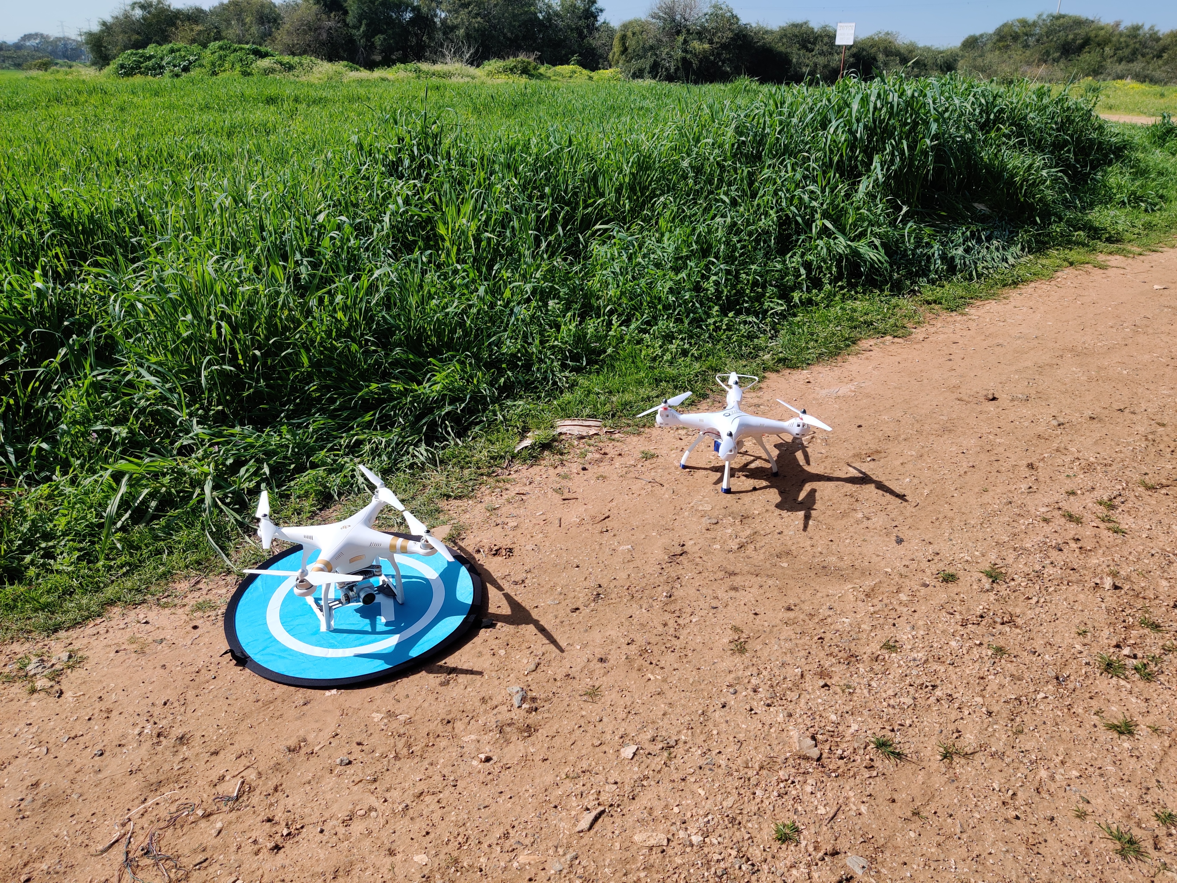 Drone Bomber