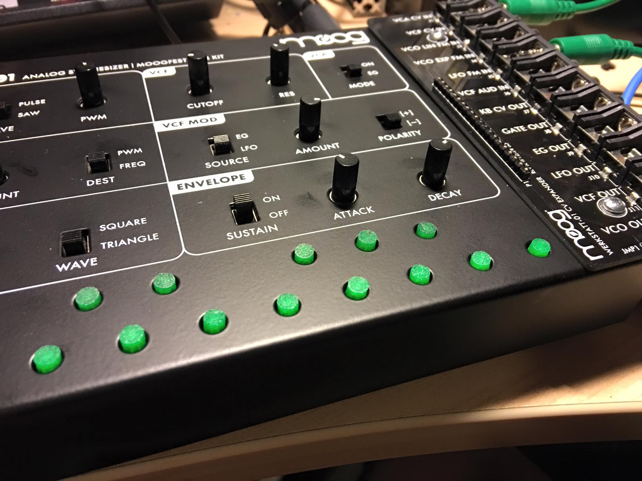 Moog Werkstatt Button Cap