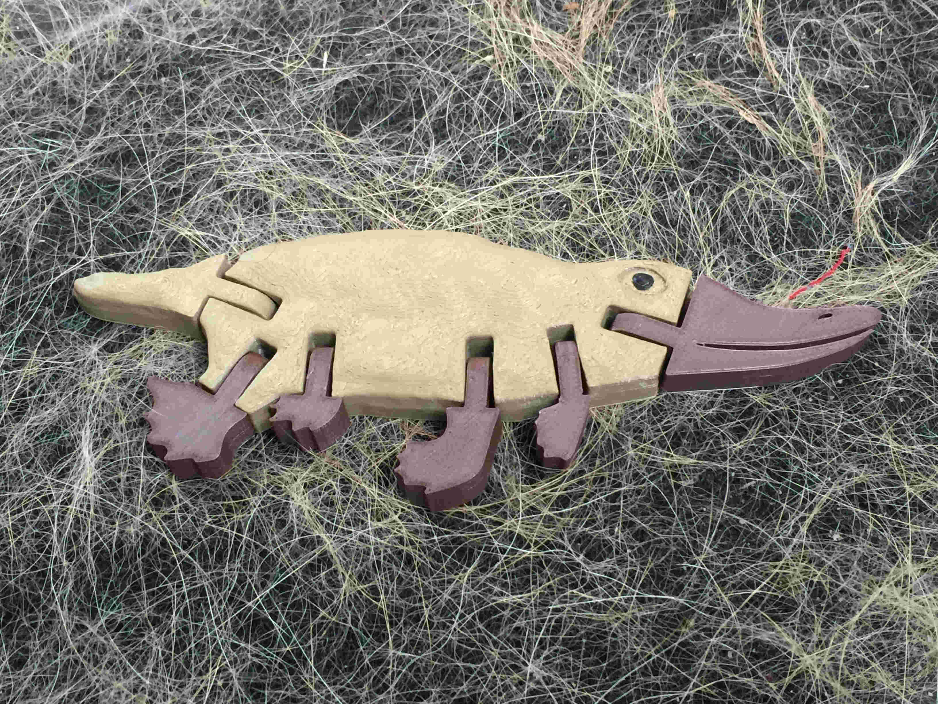 Platypus -Articulated, No Supports