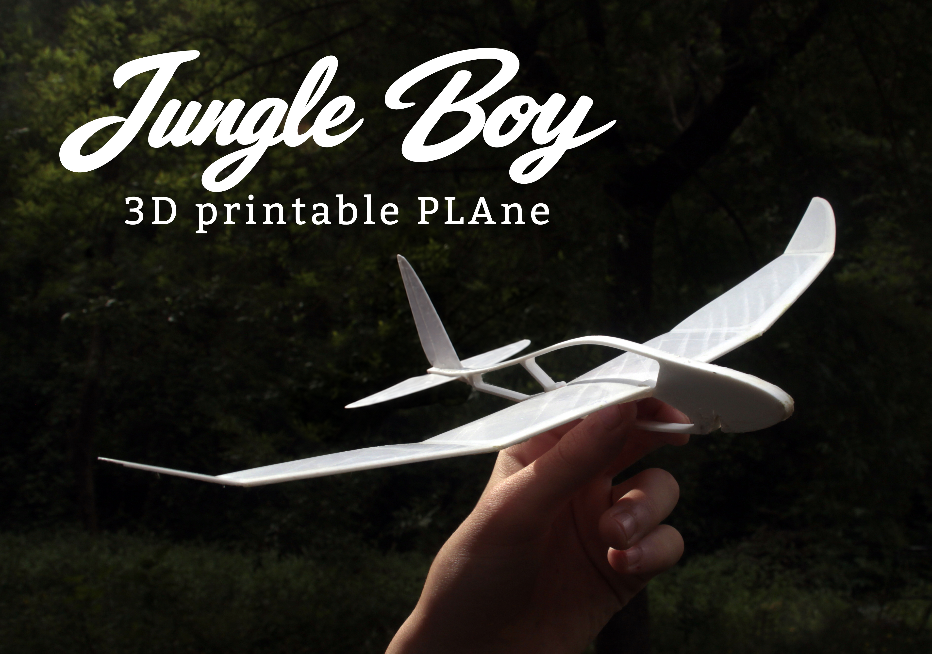 Jungle Boy 3D printable plane