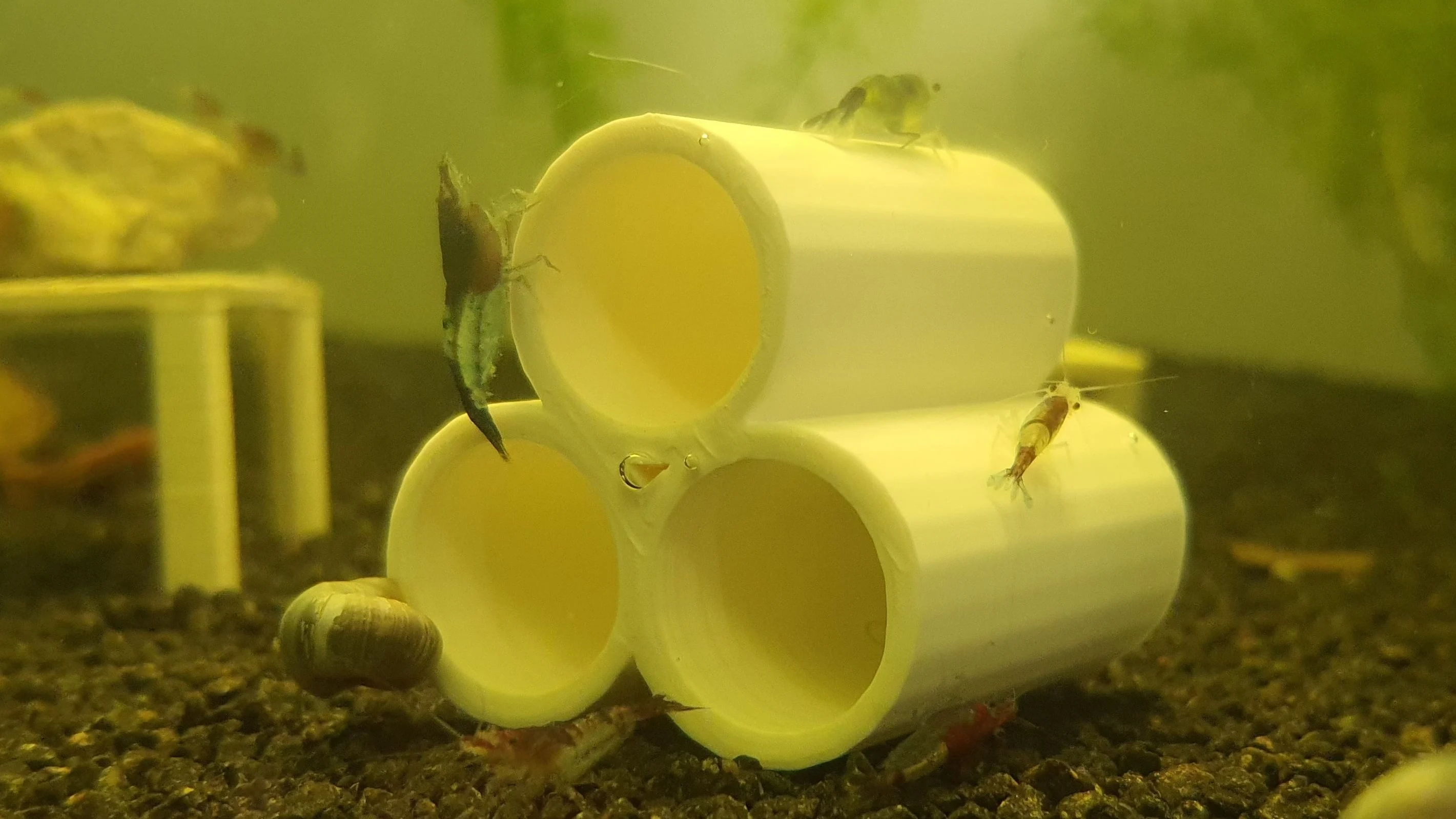 Aquarium Tube Shelter