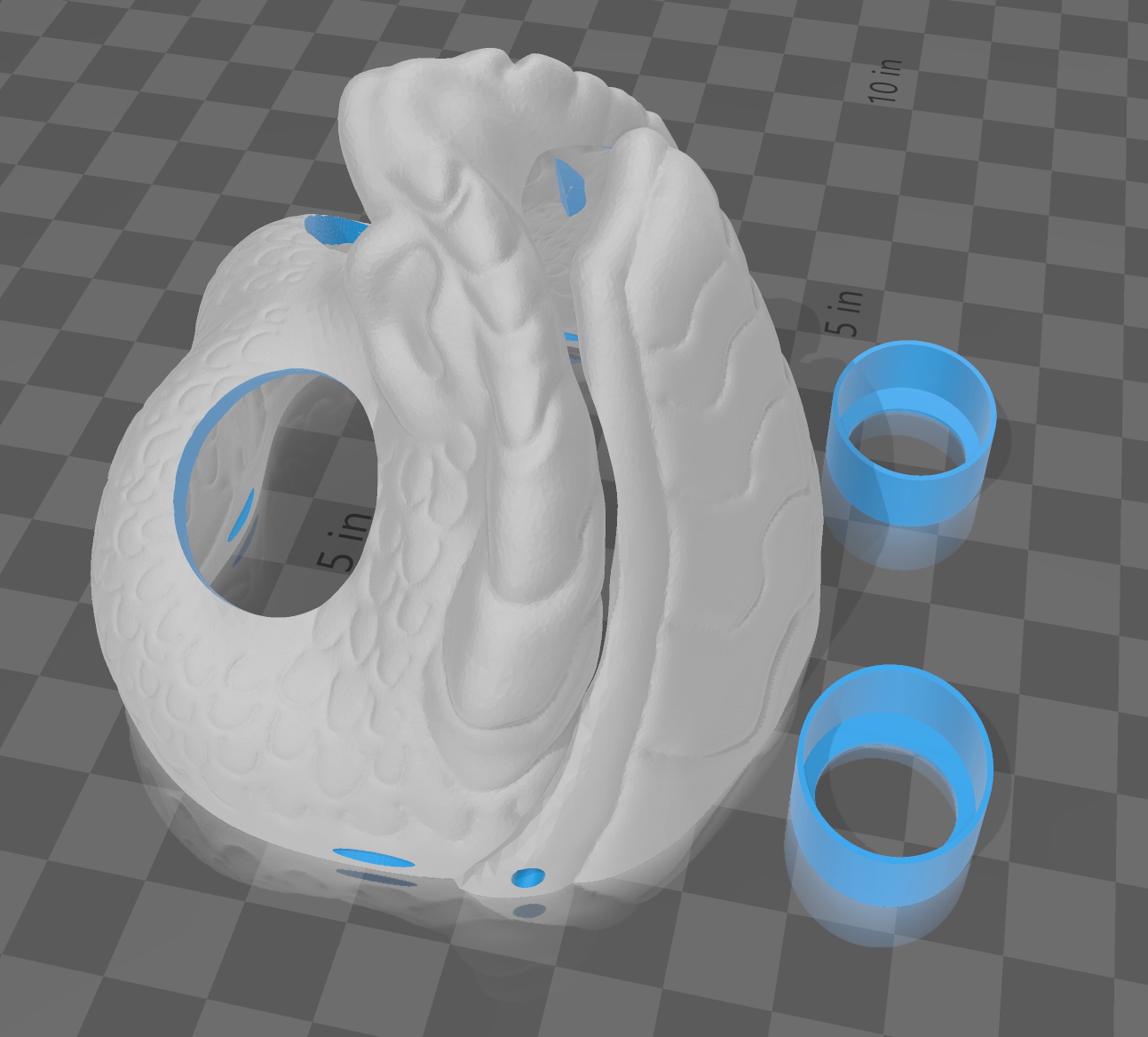 hognose snake base
