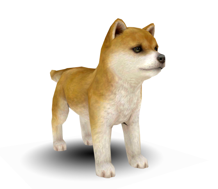 Dog Shiba Inu Puppy Low Poly