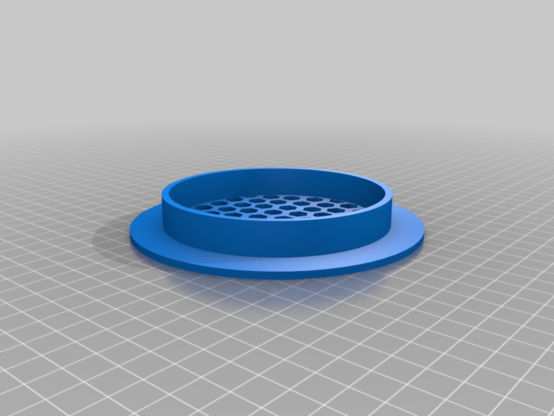 Outside vent grid