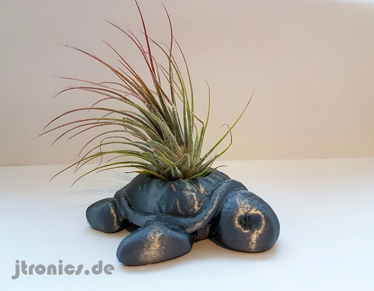 Succulent Planter Turtle