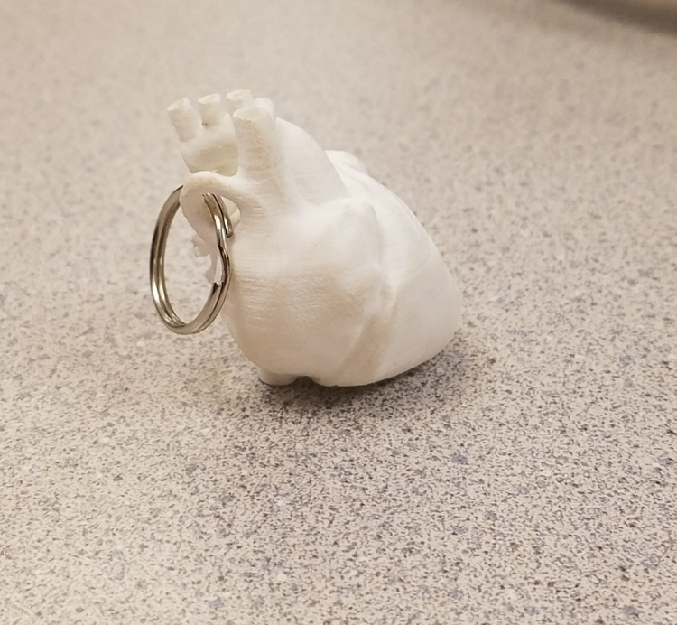 Anatomical Heart Keychain