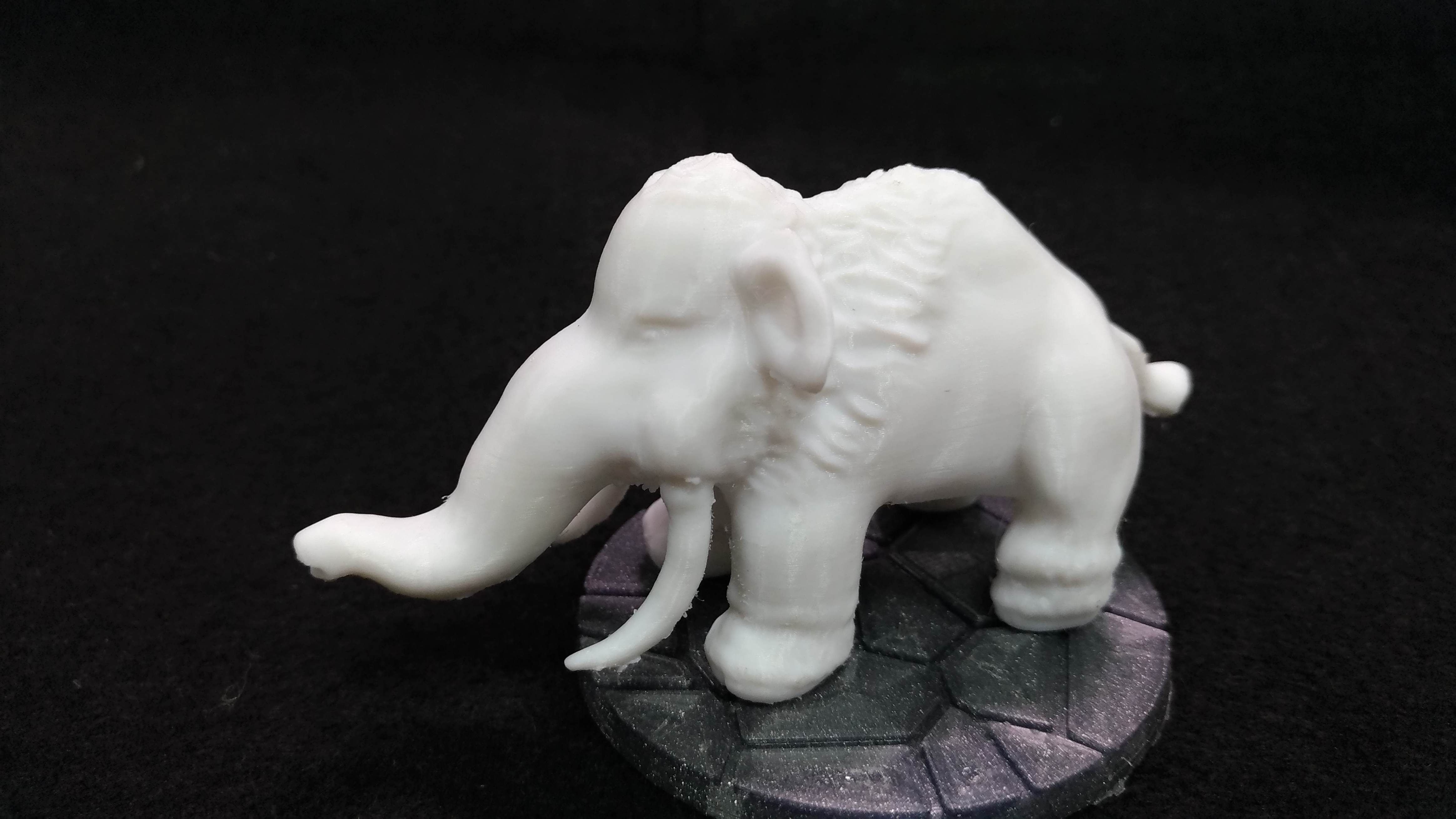 Wooly mammoth 猛瑪象