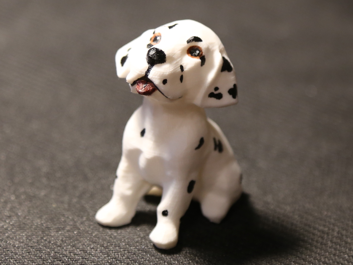 Puppy Dalmatian Dog