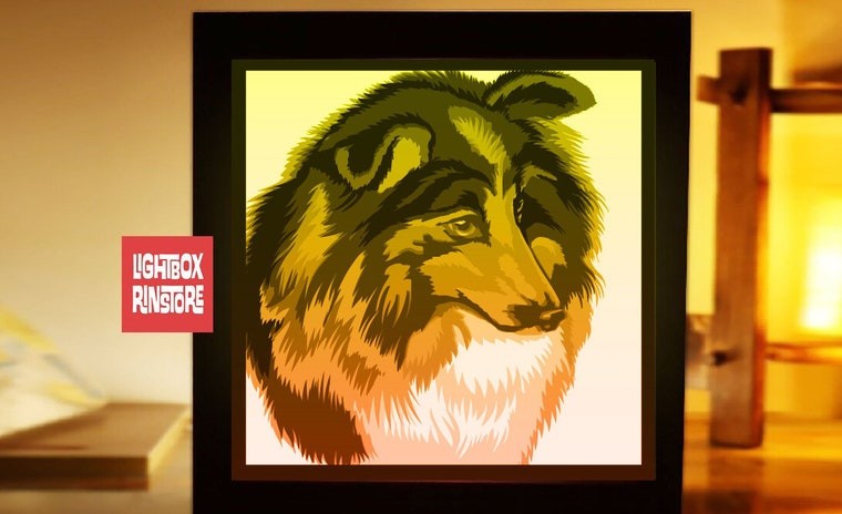 Shetland Sheep Dog lightbox