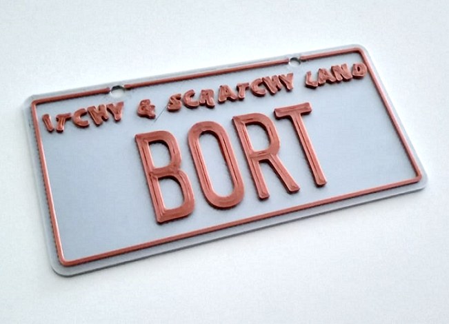 Accurate BORT license plate