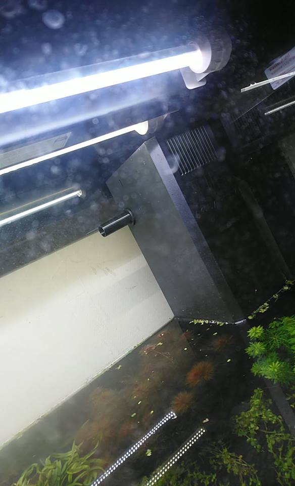 Juwel filter straight nozzle