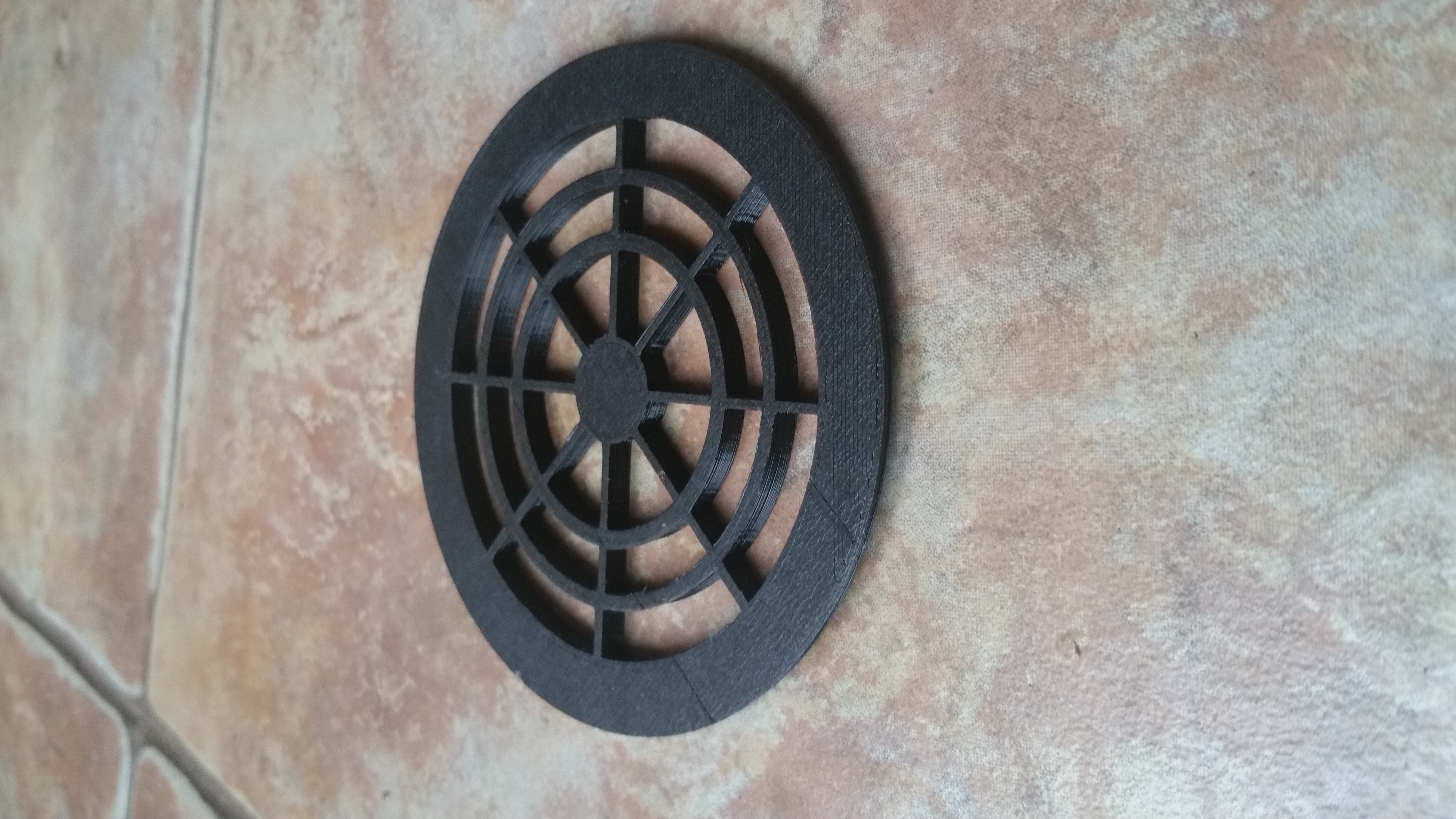 Reptile Spider Snake vent
