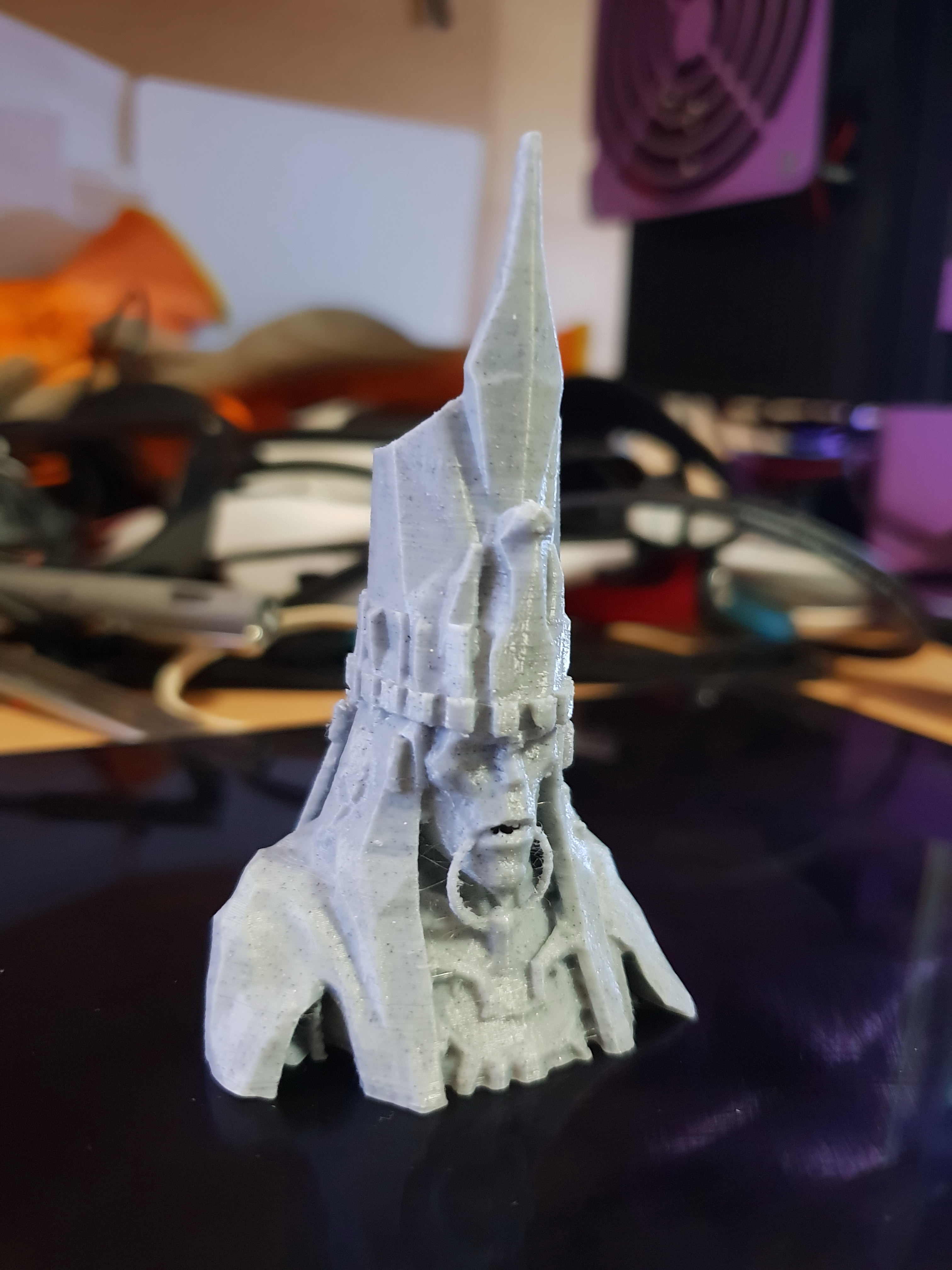 Palawa Joko Bust