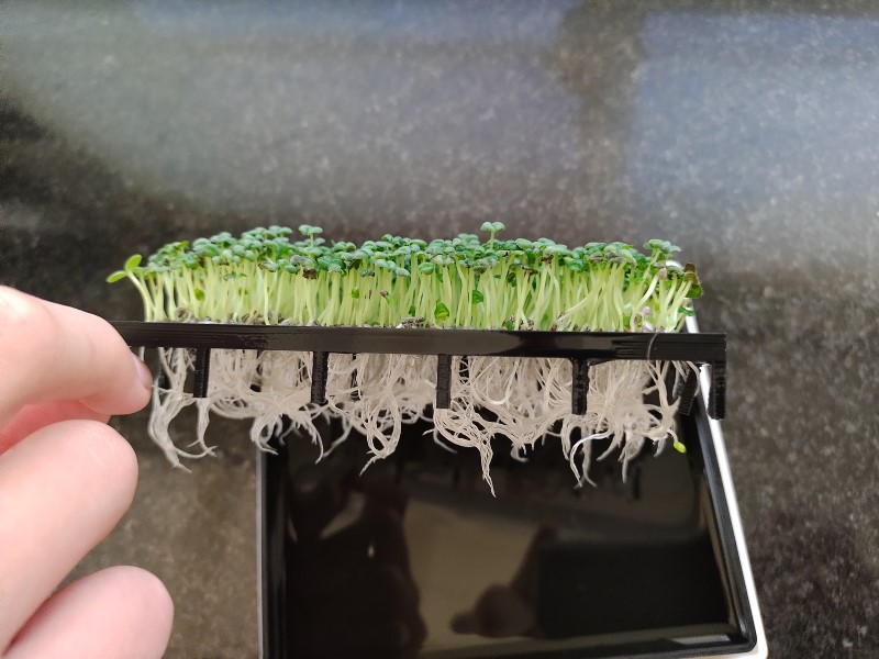 Seed germinator