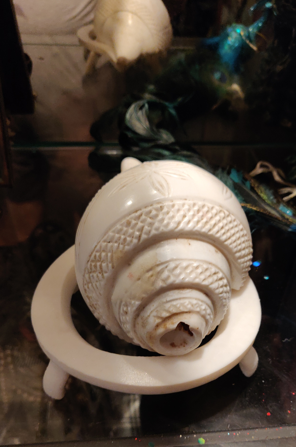 Conch stand