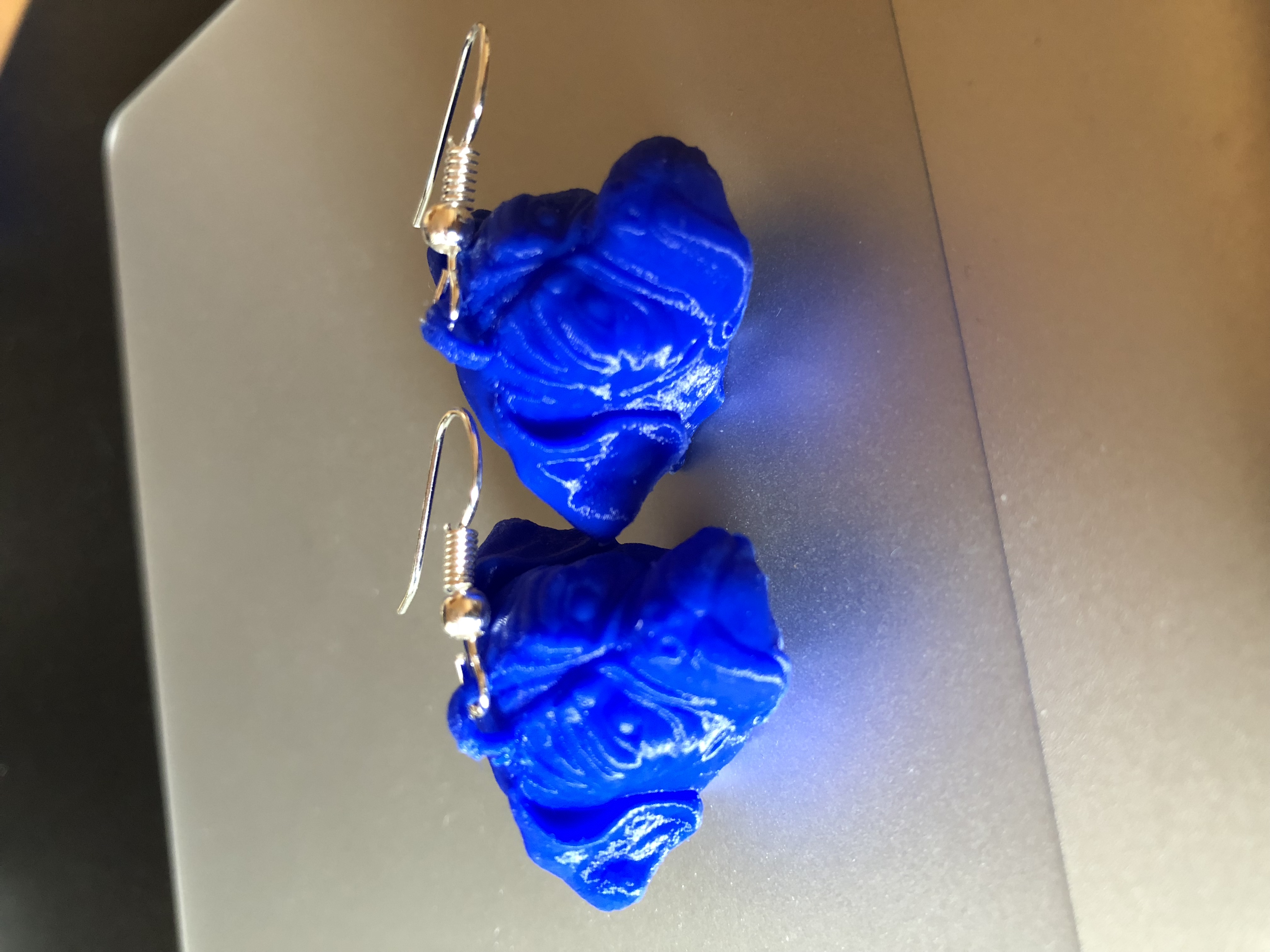 Earring Boxer