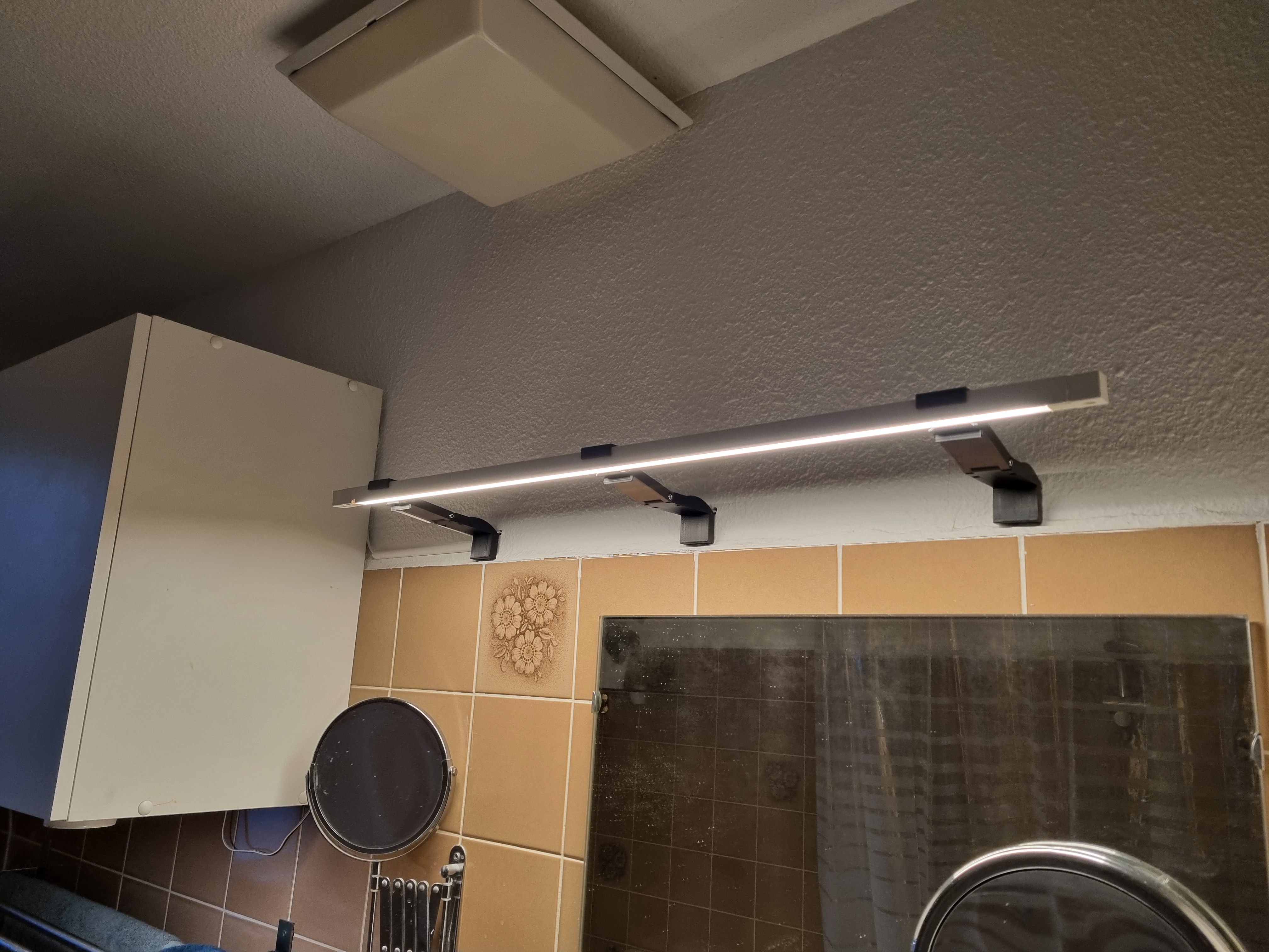 Skydrag-or-silverglans-wall-lightholder