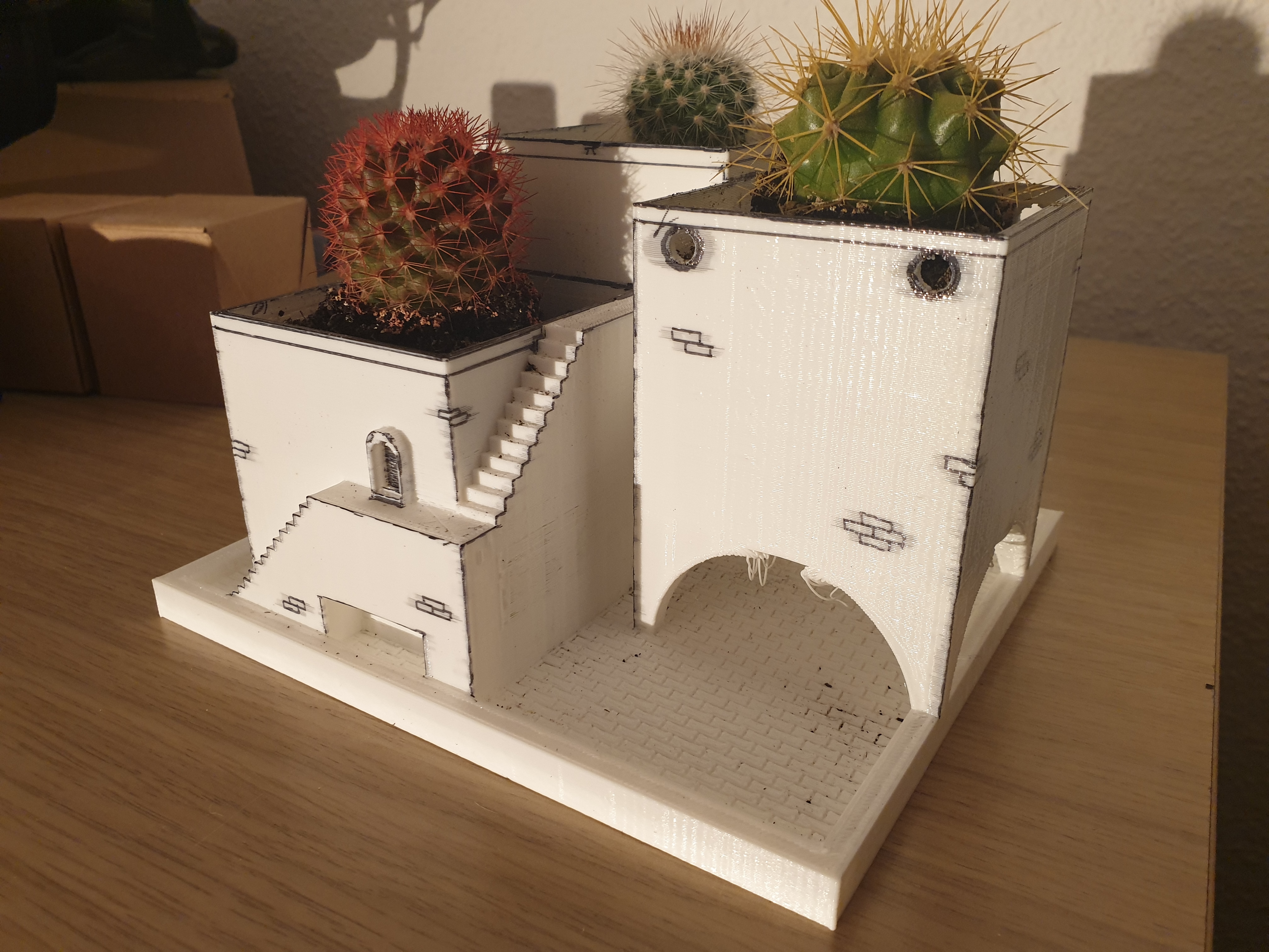 Cactus Pot