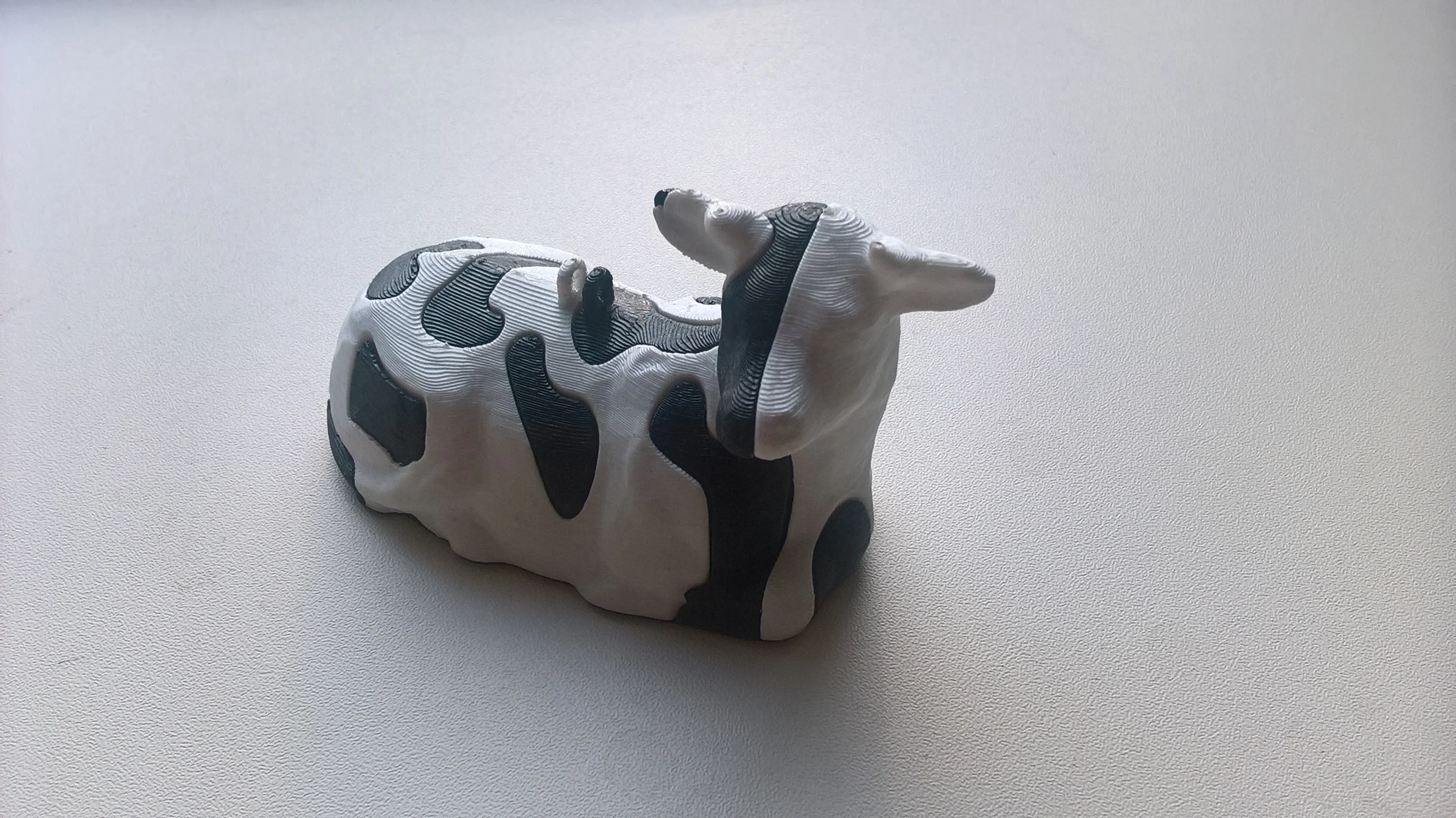 Single extruder - dual color Dutch Cow