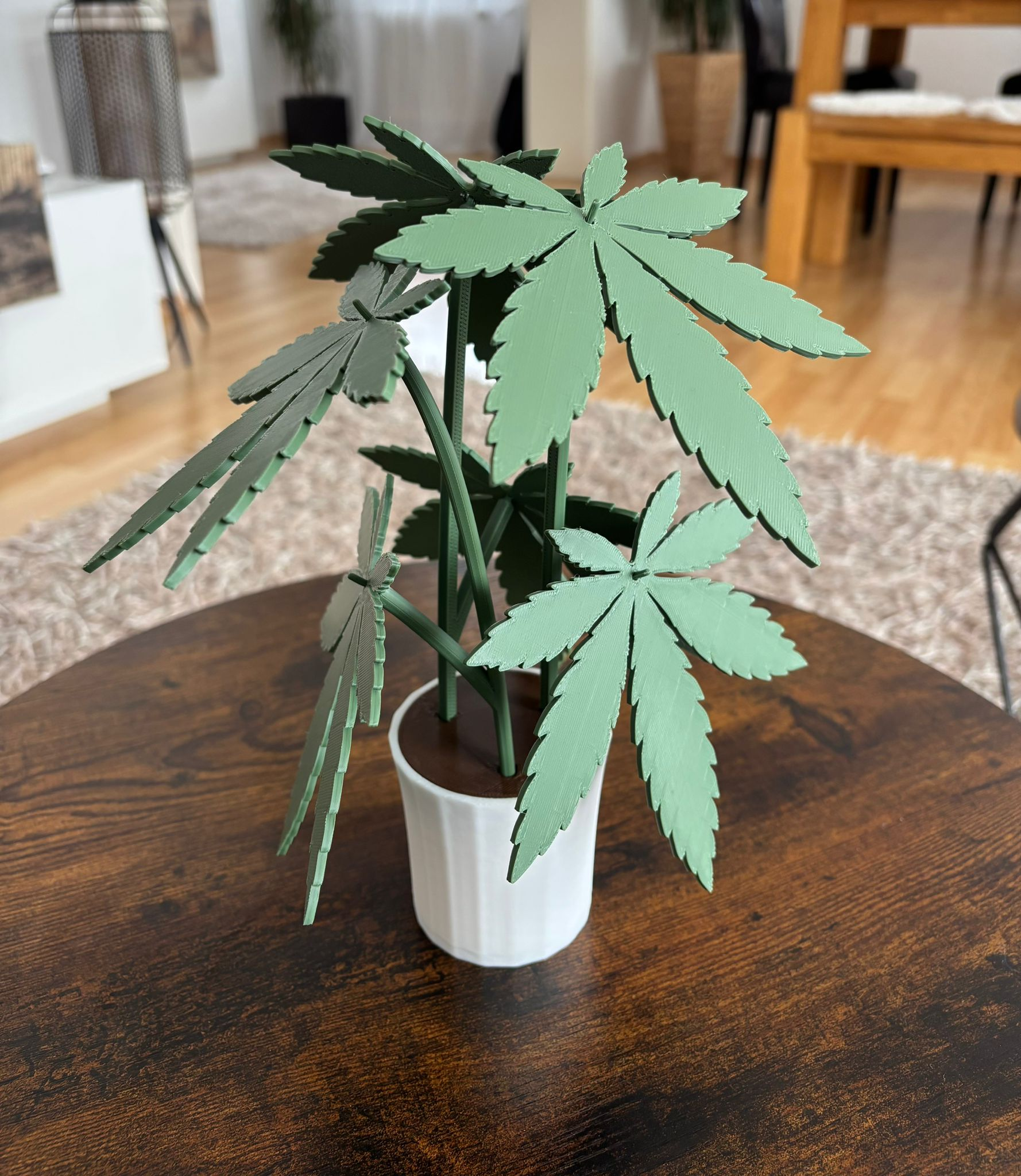 Cannabis-Coaster Plant with Hidden Storage