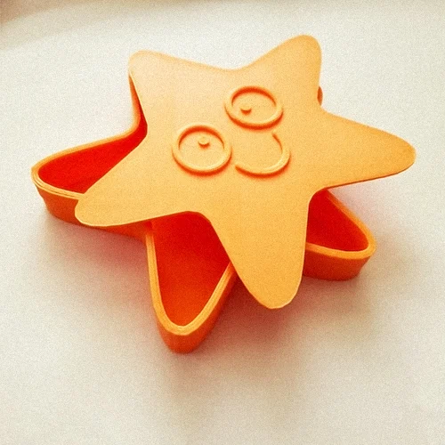 Star's Handbag