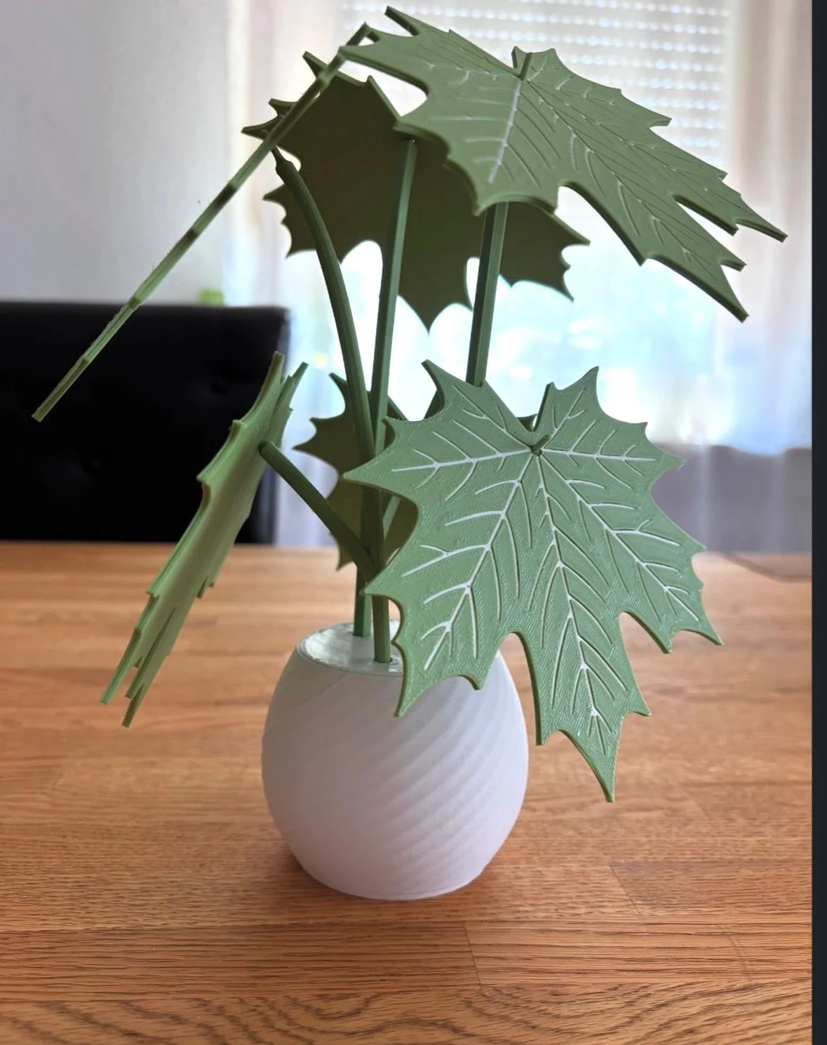 Mapleleaf-Coaster-Plant with Secretspace inside the Vase