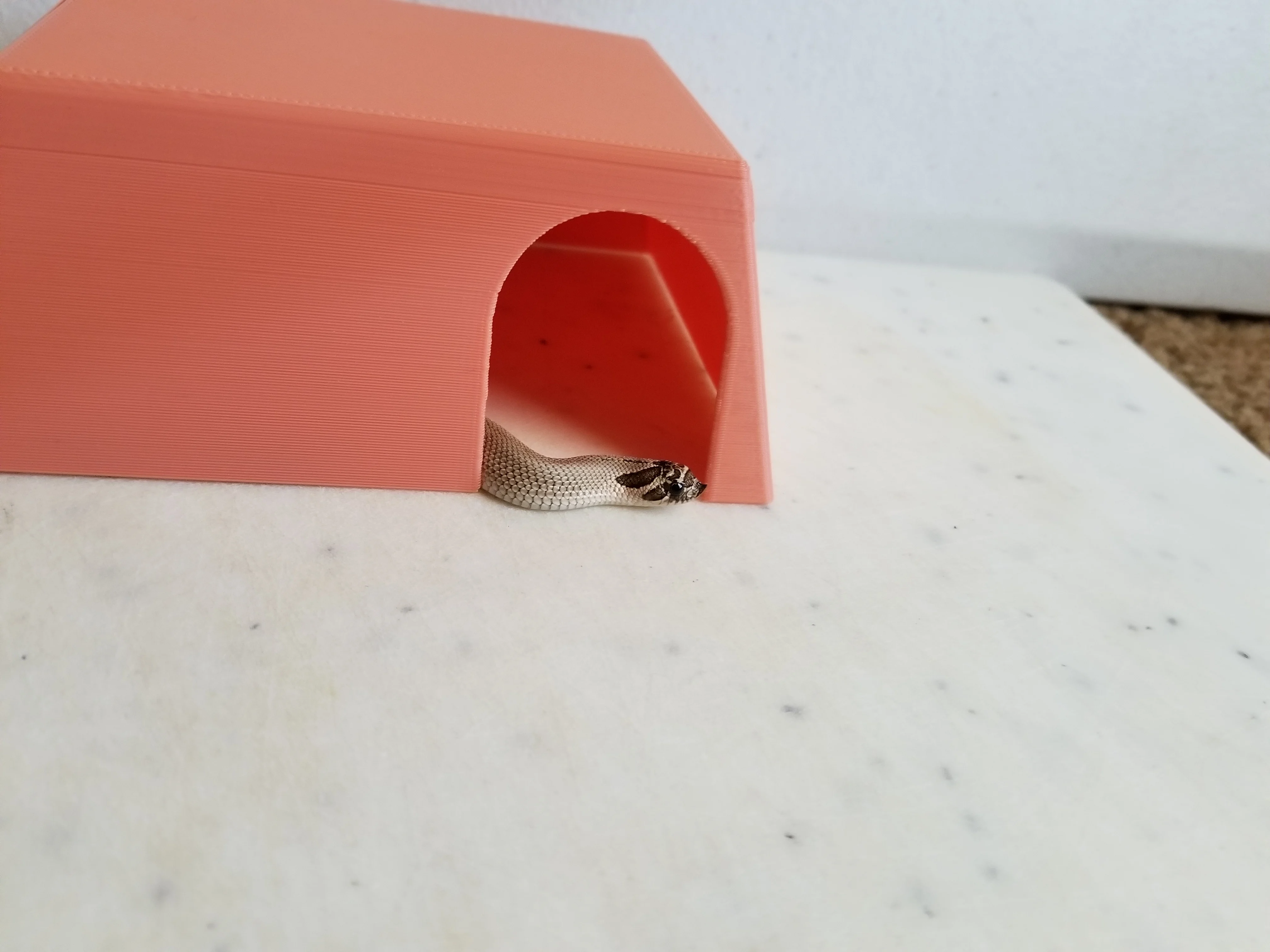 Animal Hide