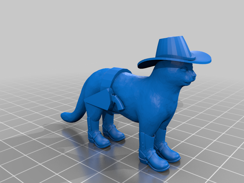 Cowboy Cat