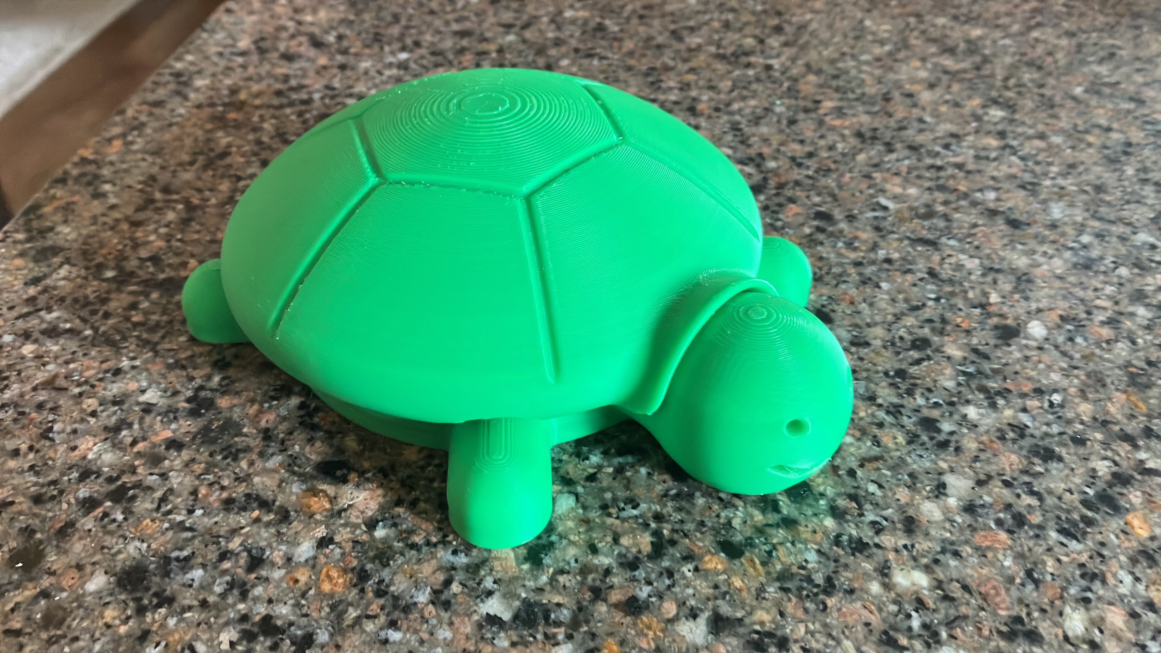 Turtle Sandbox with accessories