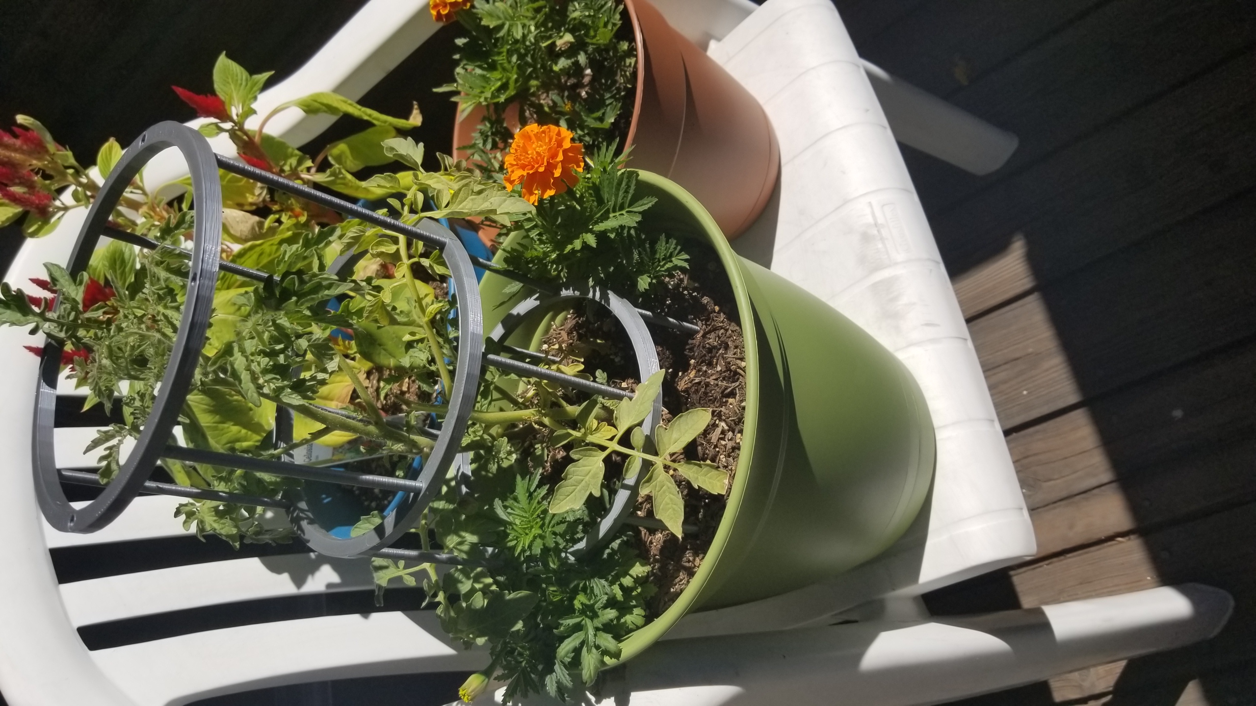 Tomato Cage [Stackable]