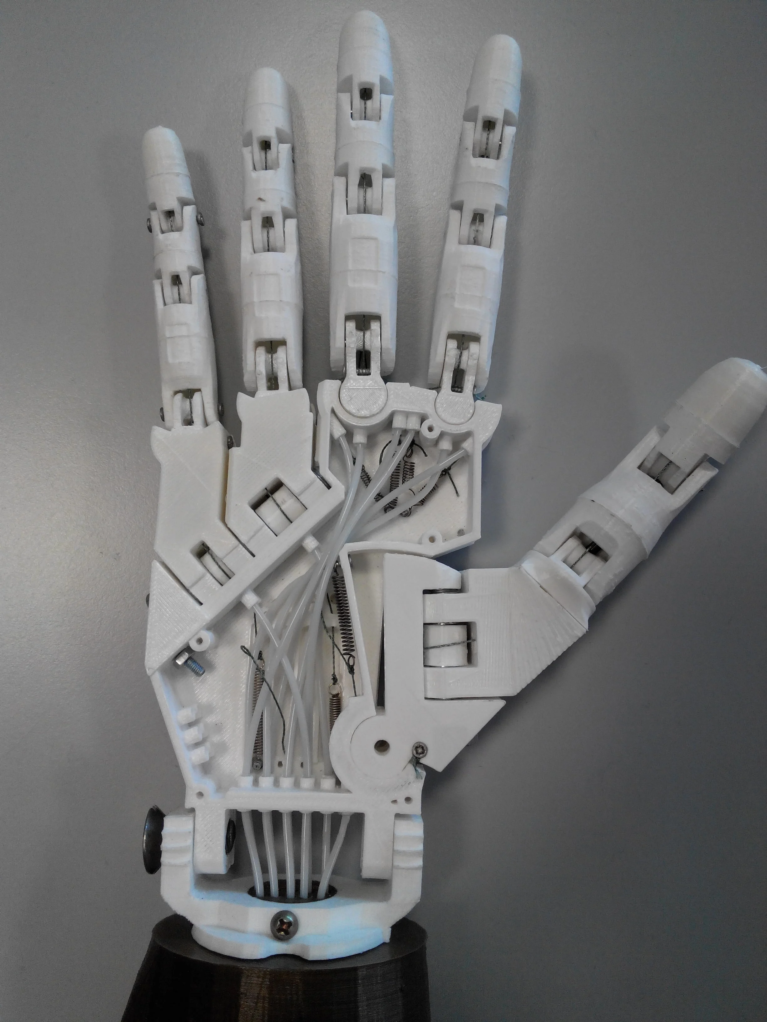 Parloma Hand v1.0 beta 2