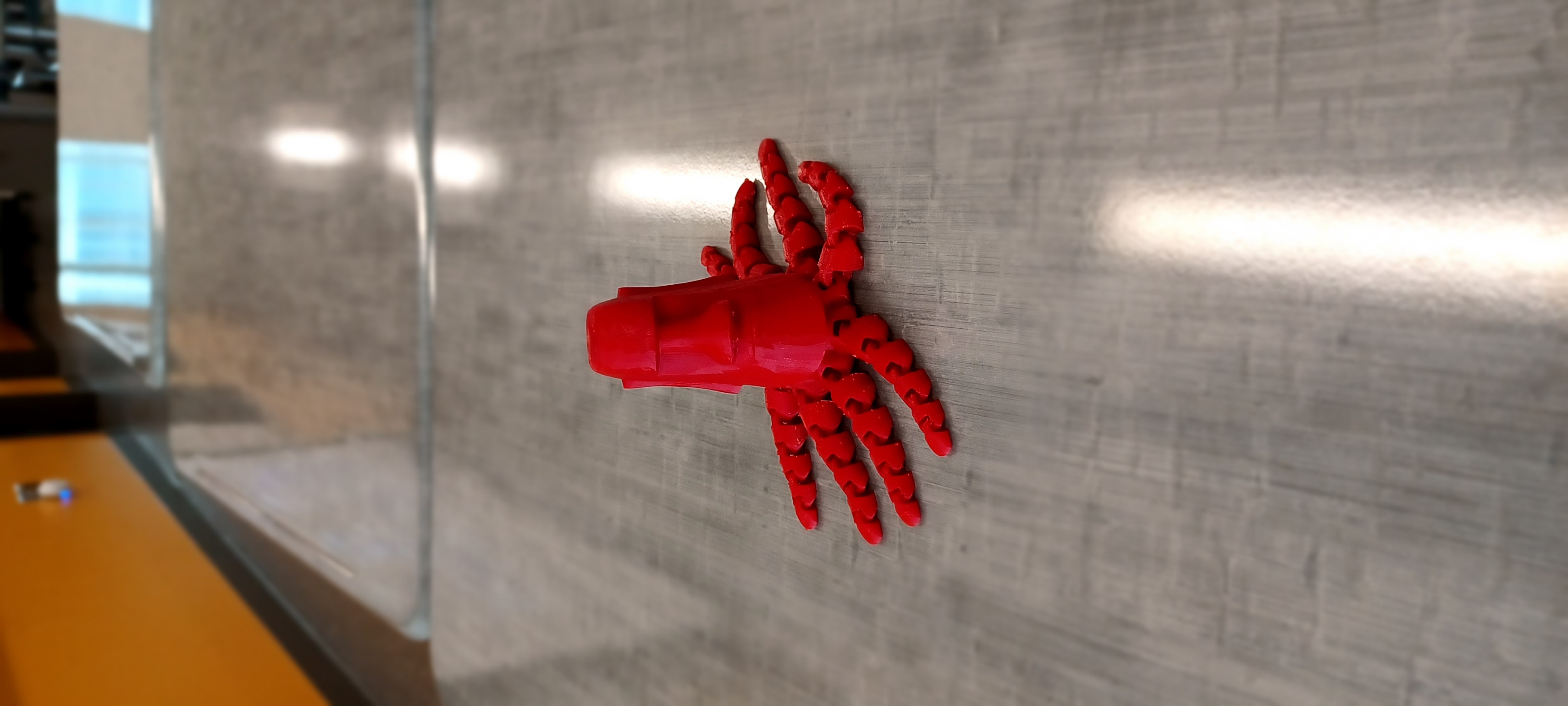 The Moaioctopus