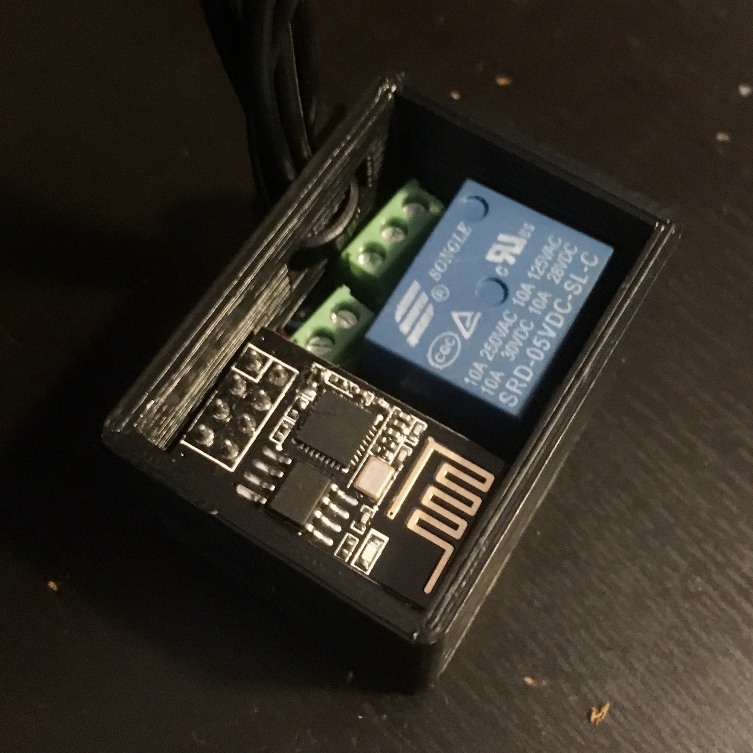 ESP01 Relay Case