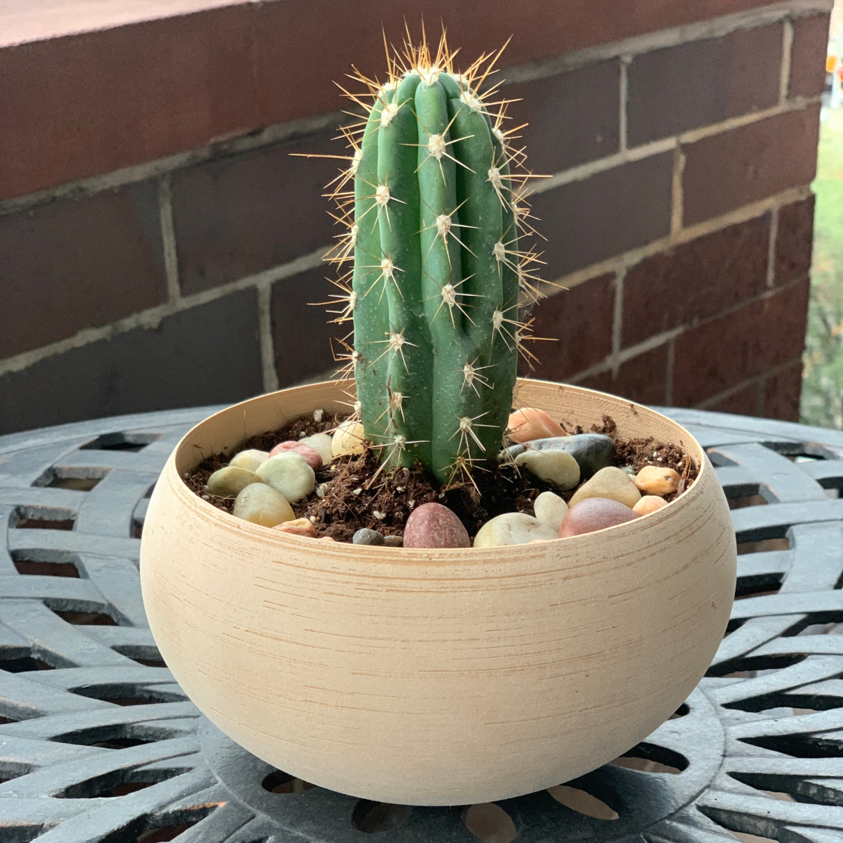 Minimalist Globe Planter or Bowl