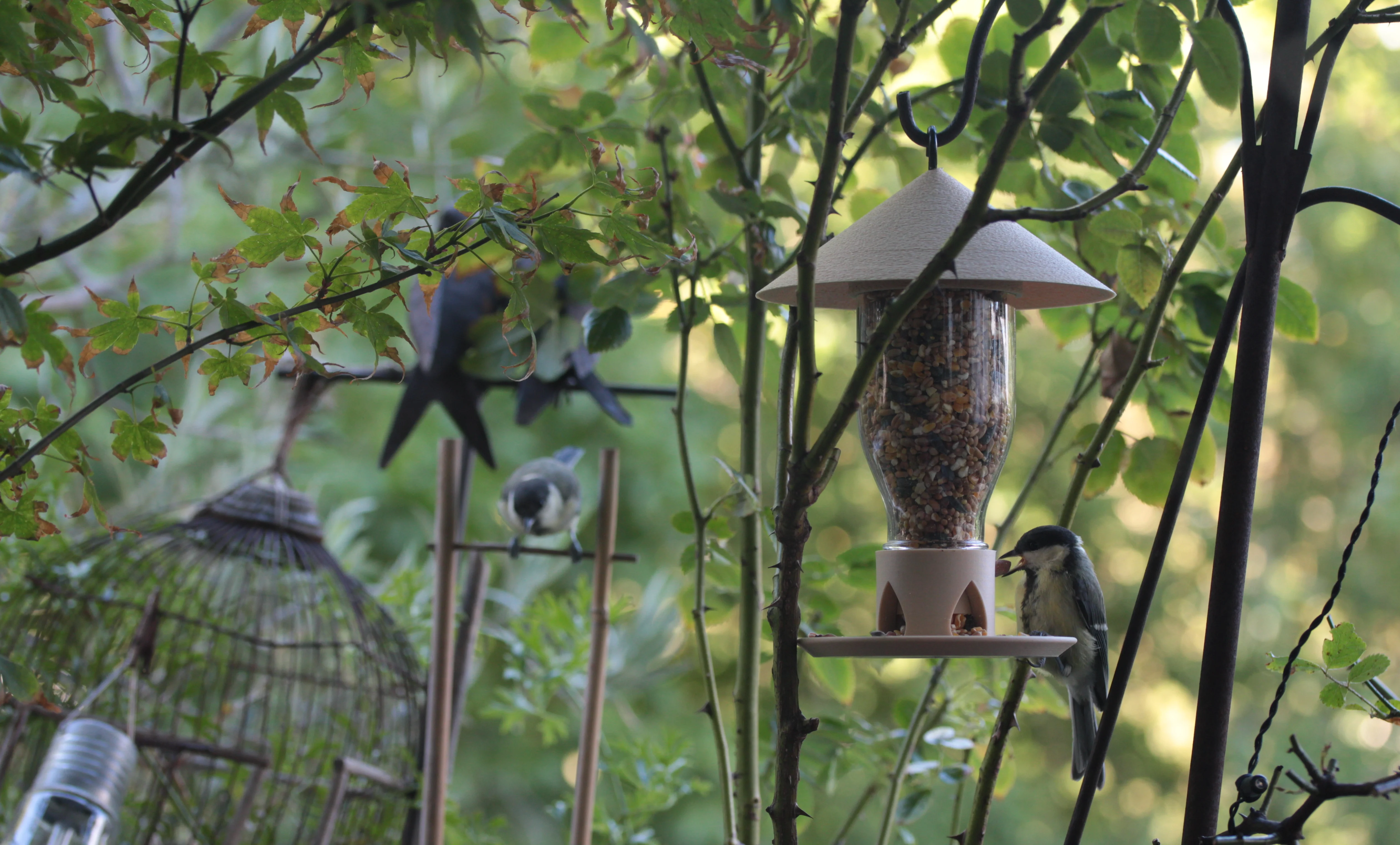 Screw on glass bottle hanging bird feeder
