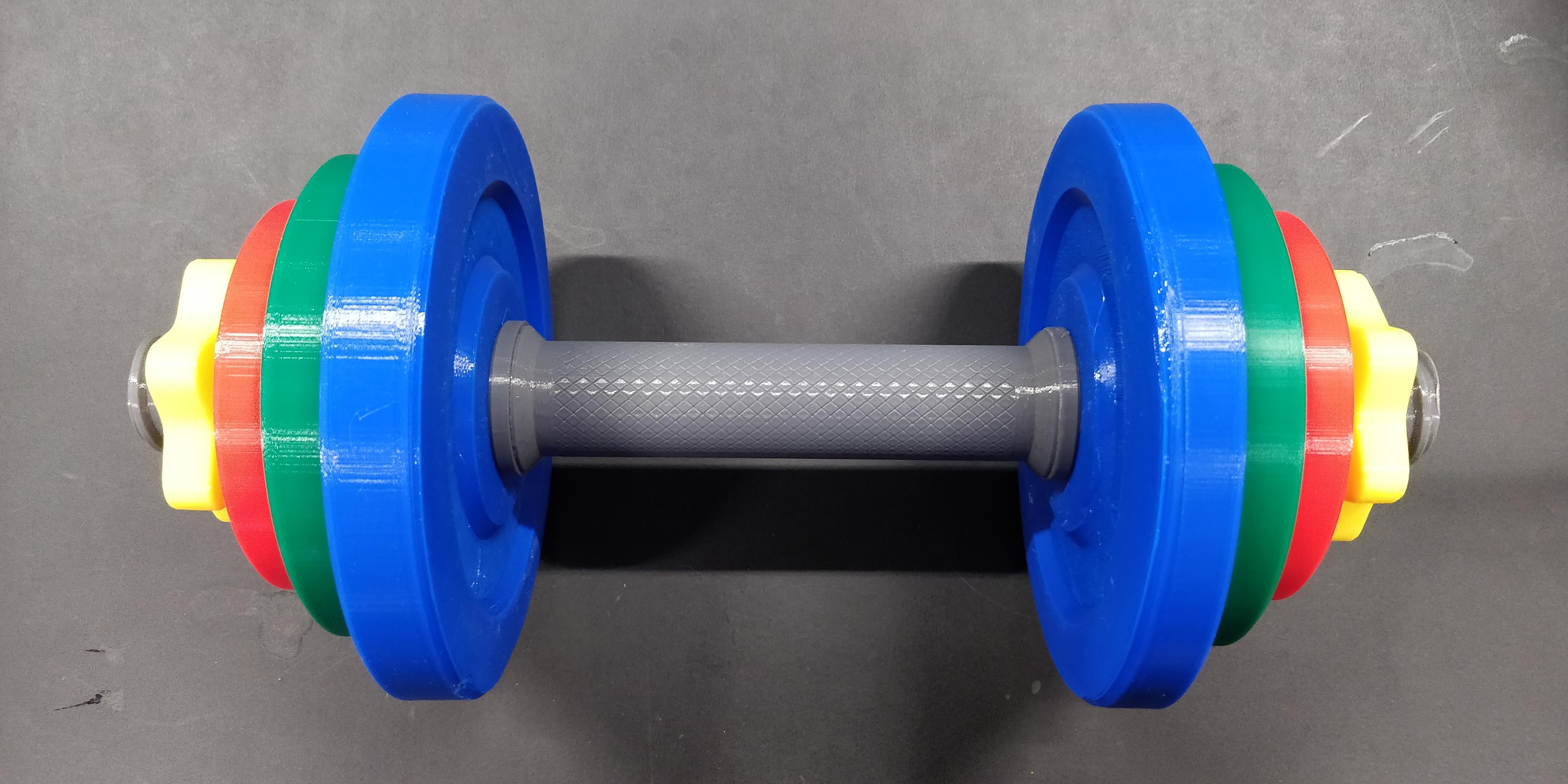 Adjustable Weight Set (Rehabilitation etc.)