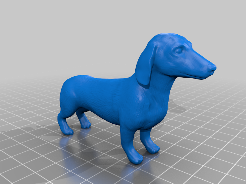 Weiner dog