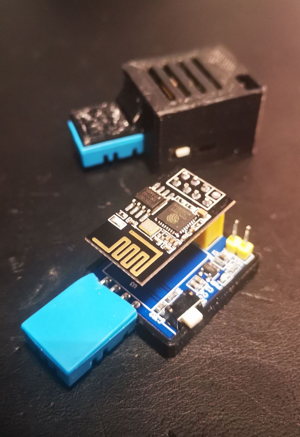 DHT11 ESP01 Sensor Case