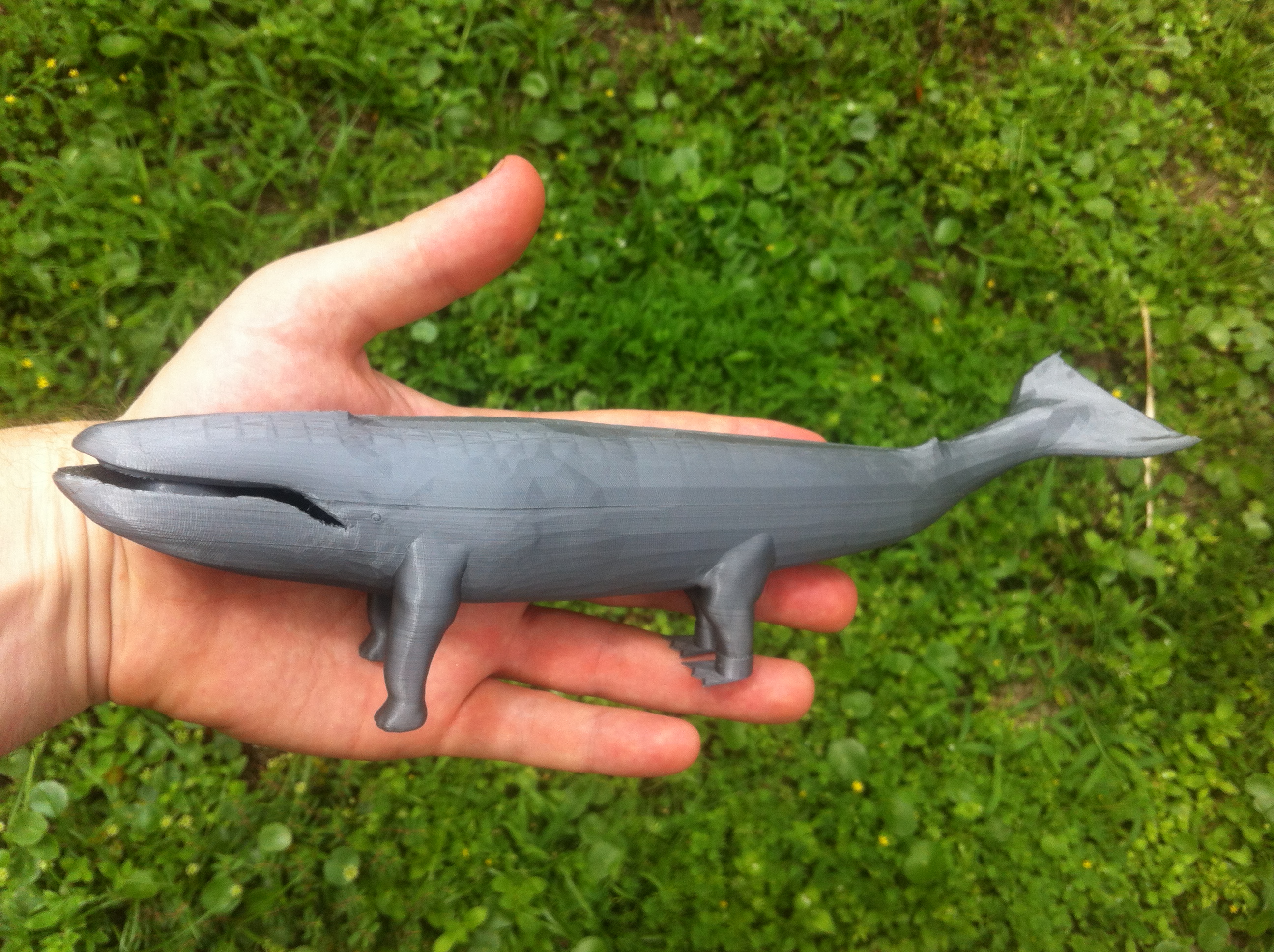 Adopt A Landwhale - Ugly Americans