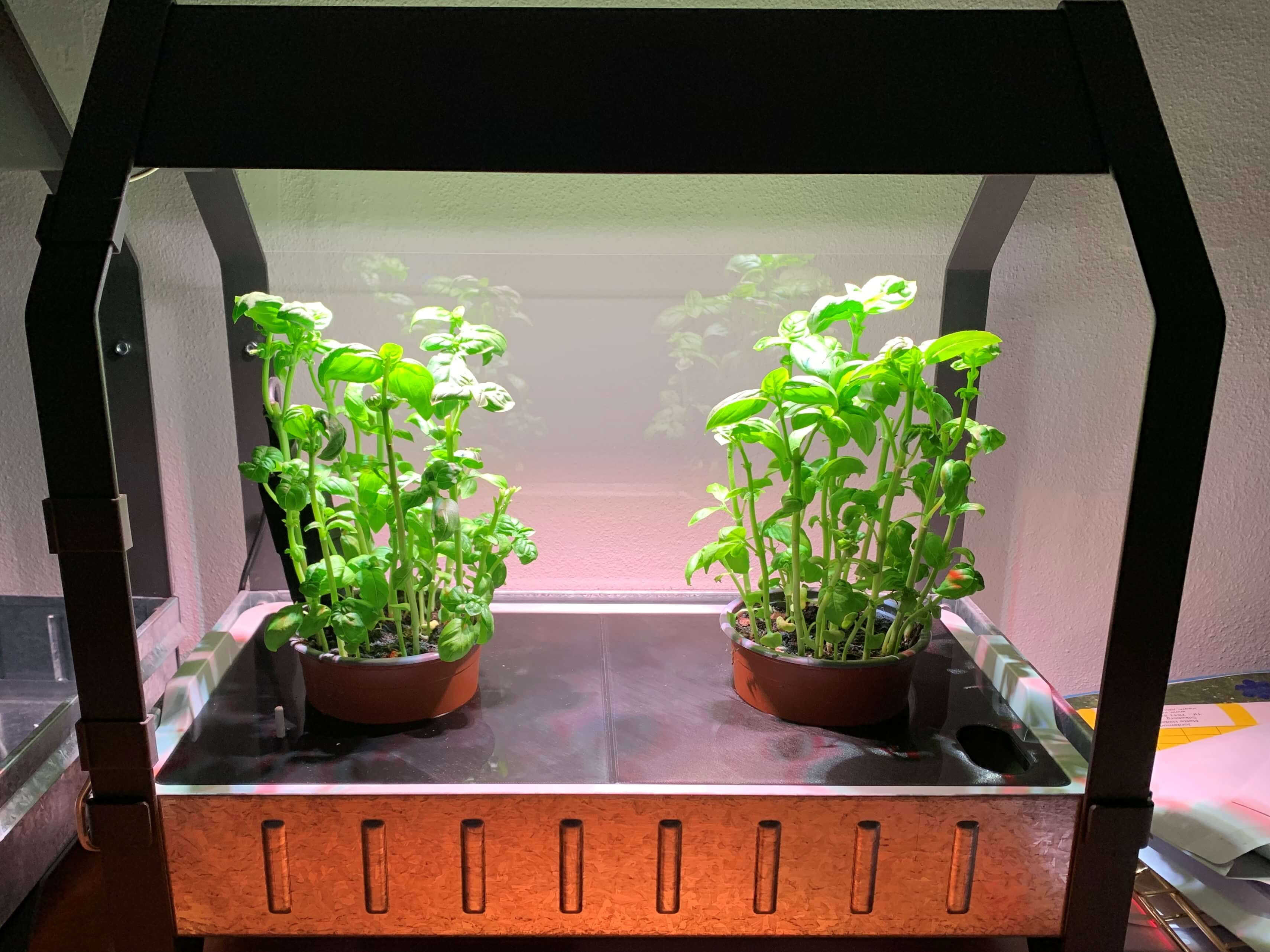 IKEA VÄXER/KRYDDA Cover For Pots